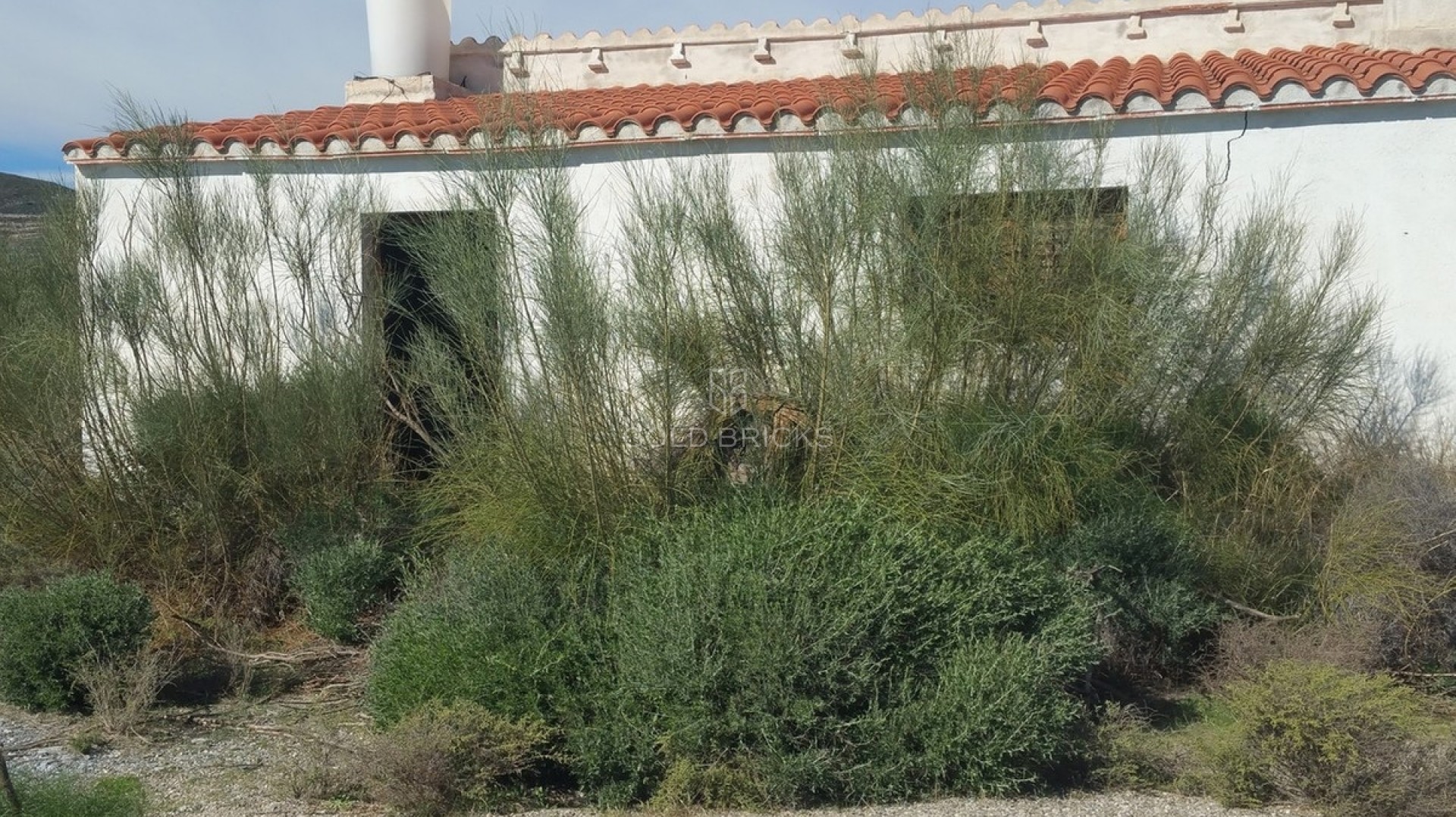 Plot - Land · Sale · Lorca · Lorca Centro