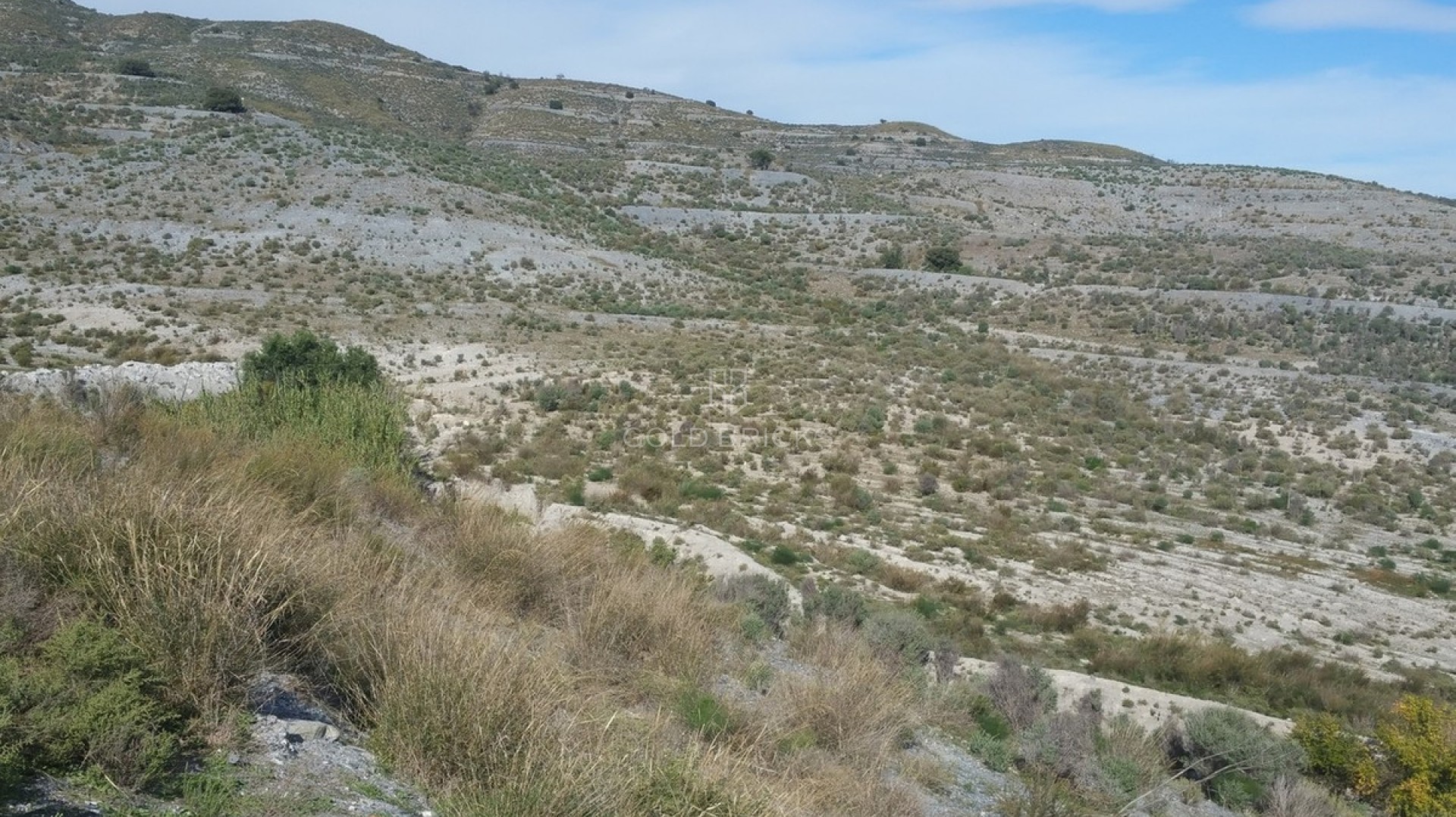 Plot - Land · Sale · Lorca · Lorca Centro