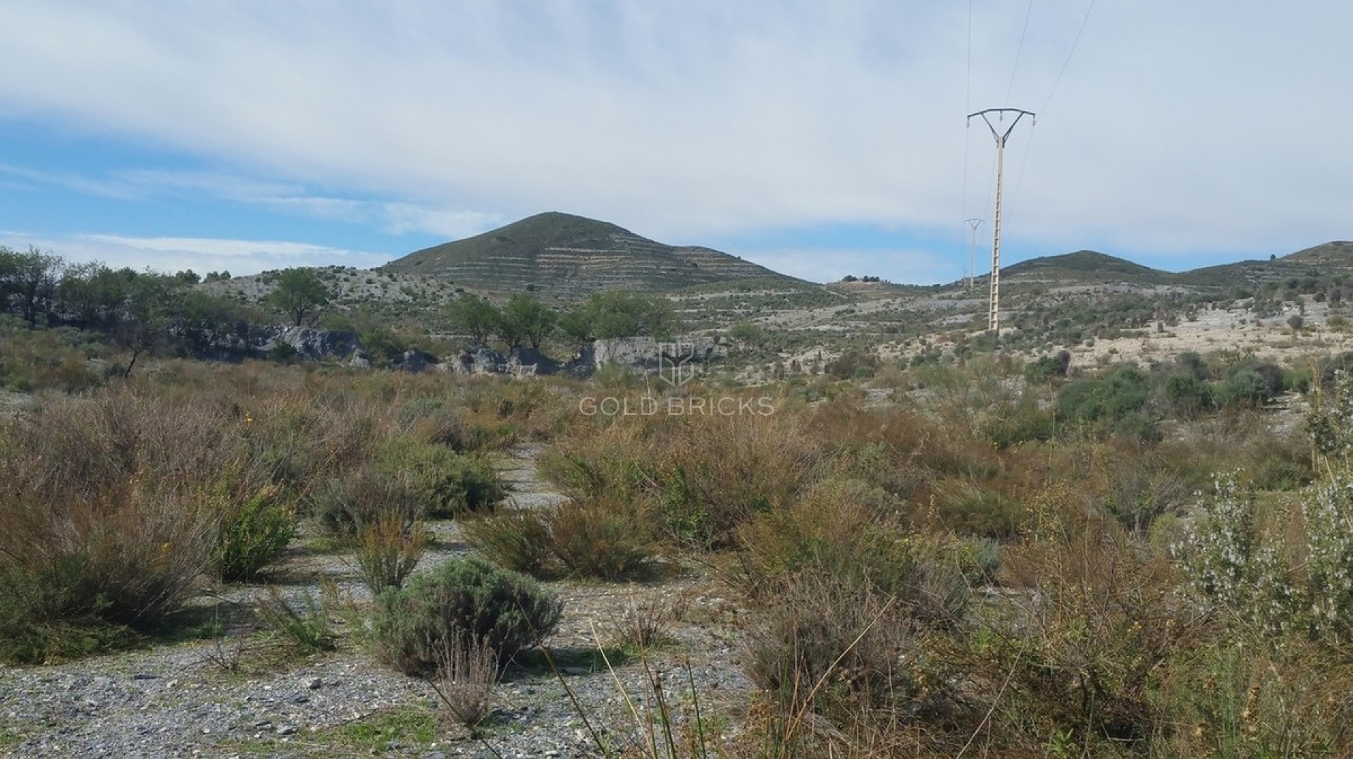 Plot - Land · Sale · Lorca · Lorca Centro