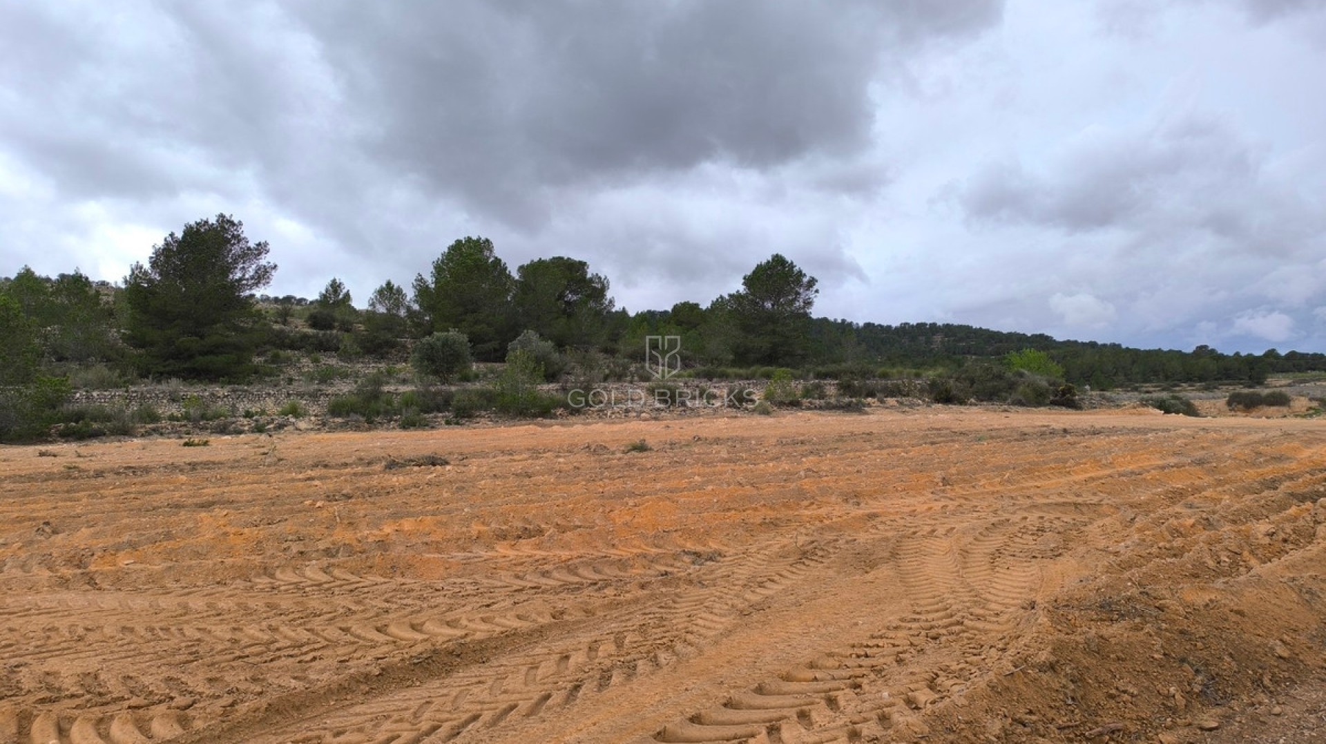 Plot - Land · Sale · Monóvar - Monòver · Chinorlet