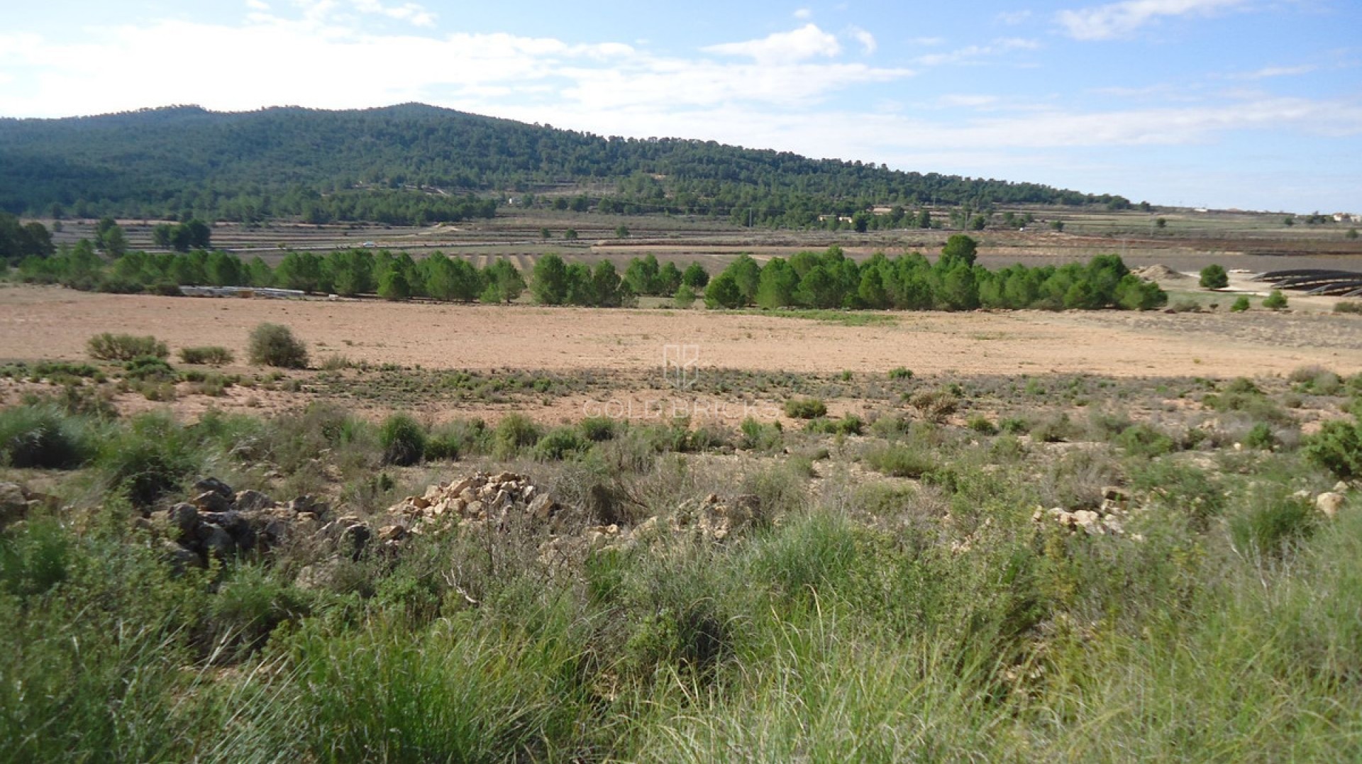 Plot - Land · Sale · Monóvar - Monòver · Monóvar - Monòver Centro