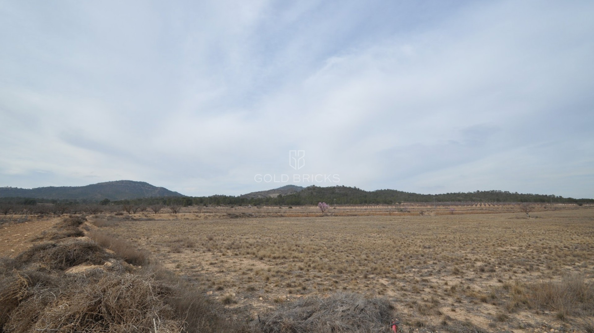 Plot - Land · Sale · Monóvar - Monòver · Monóvar - Monòver Centro