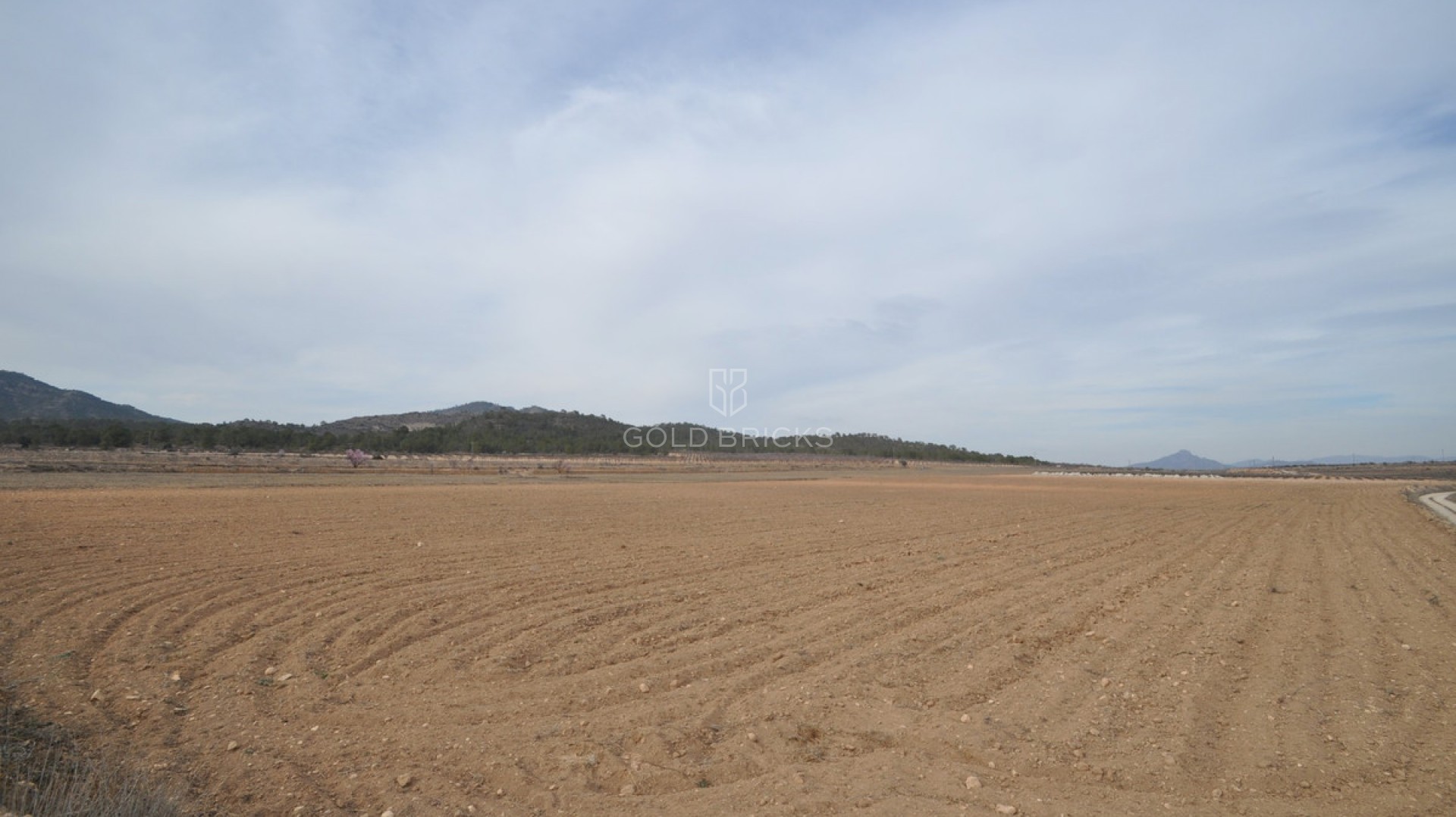 Plot - Land · Sale · Monóvar - Monòver · Monóvar - Monòver Centro