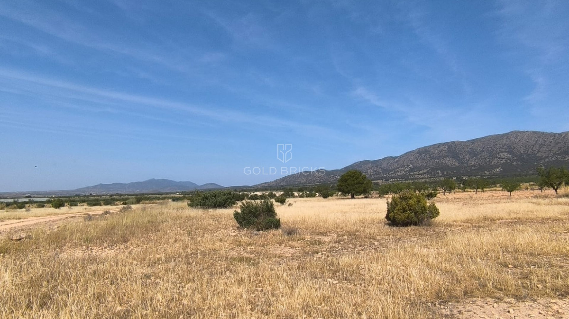 Plot - Land · Sale · Monóvar - Monòver · Monóvar - Monòver Centro