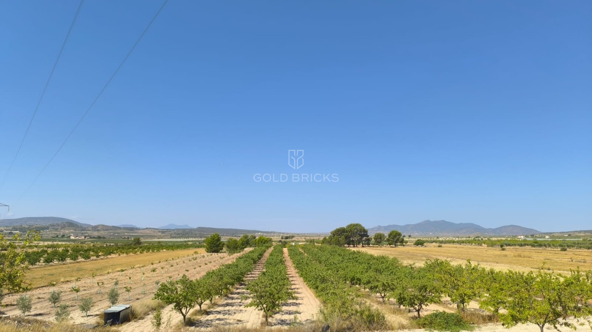 Plot - Land · Sale · Monóvar - Monòver · Monóvar - Monòver Centro