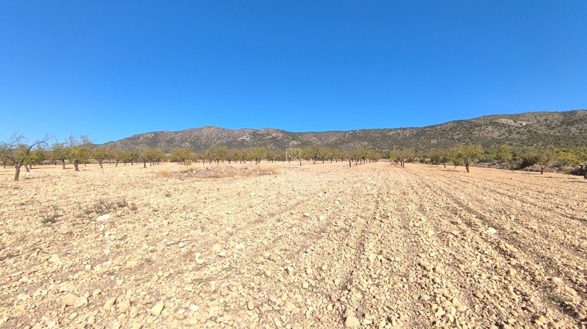 Plot - Land · Sale · Monóvar - Monòver · Monóvar - Monòver Centro