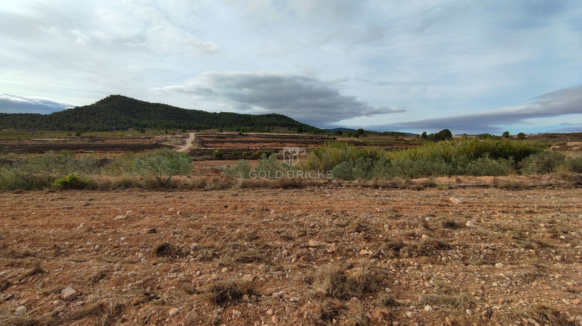 Plot - Land · Sale · Monóvar - Monòver · Monóvar - Monòver Centro