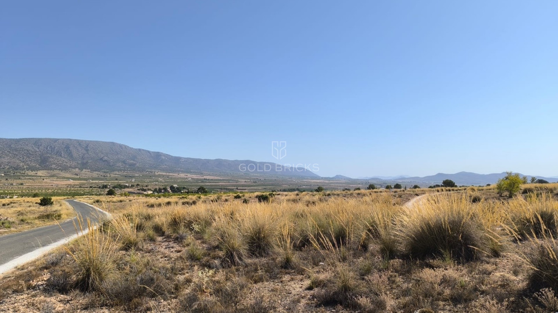 Plot - Land · Sale · Pinoso · Lel