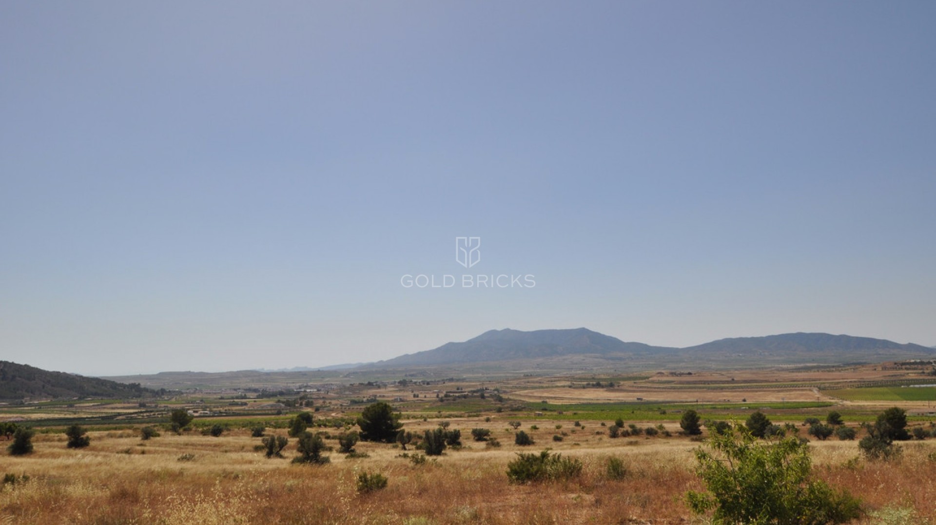 Plot - Land · Sale · Pinoso · Pinoso Centro