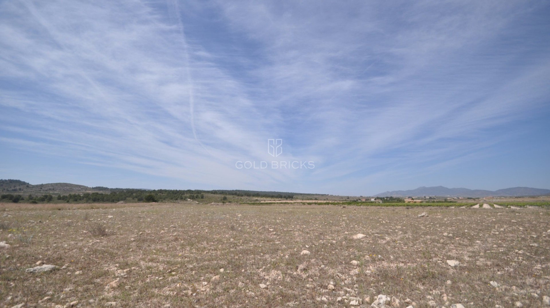 Plot - Land · Sale · Pinoso · Pinoso Centro