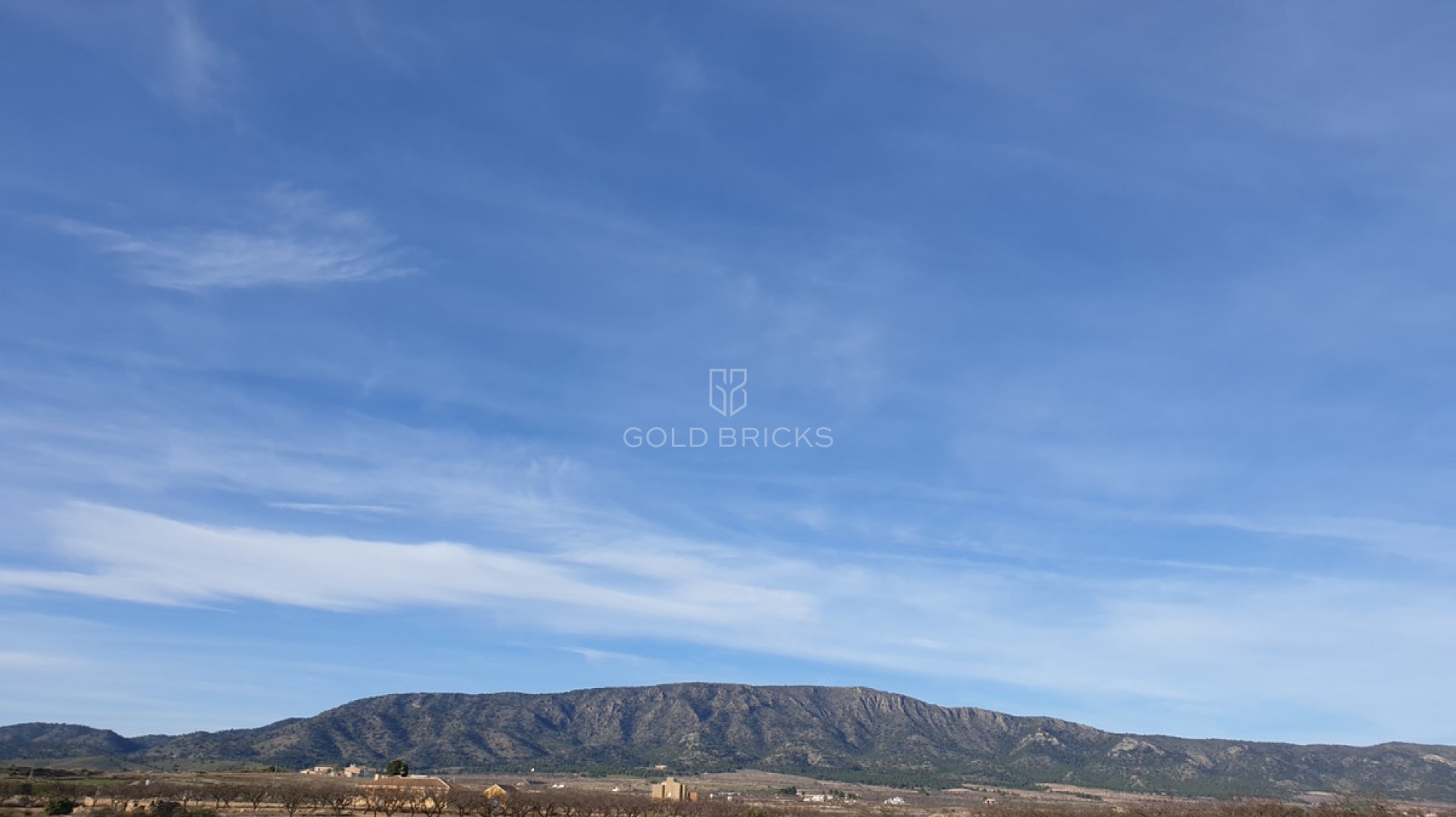 Plot - Land · Sale · Pinoso · Pinoso Centro