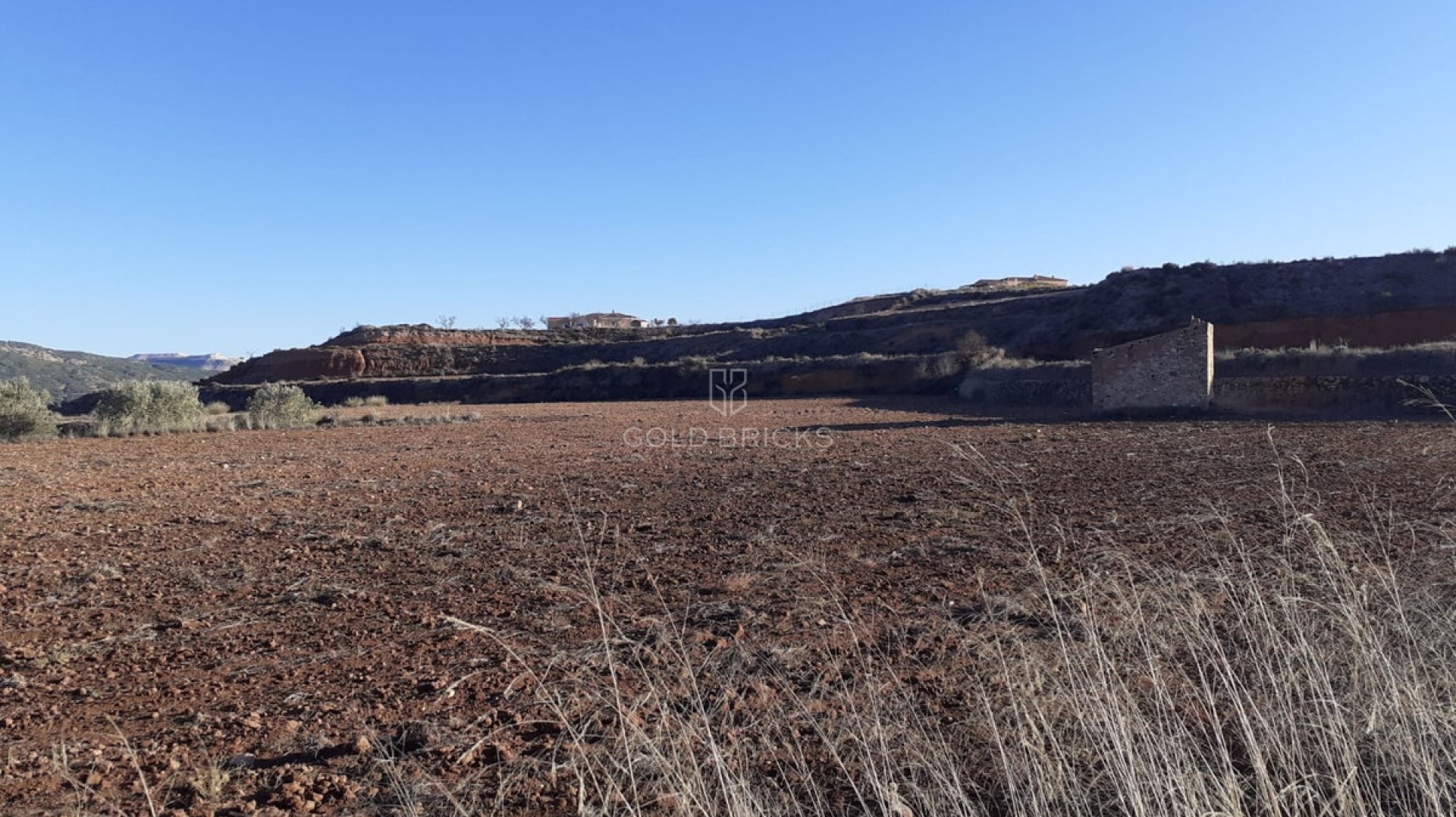 Plot - Land · Sale · Pinoso · Pinoso Centro