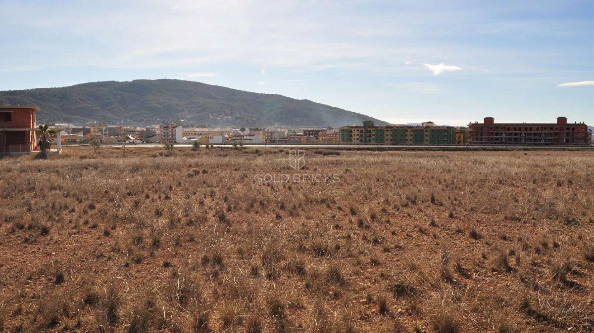 Plot - Land · Sale · Pinoso · Pinoso Centro