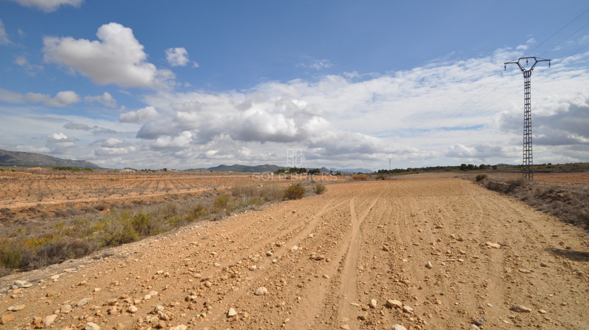 Plot - Land · Sale · Pinoso · Pinoso Centro