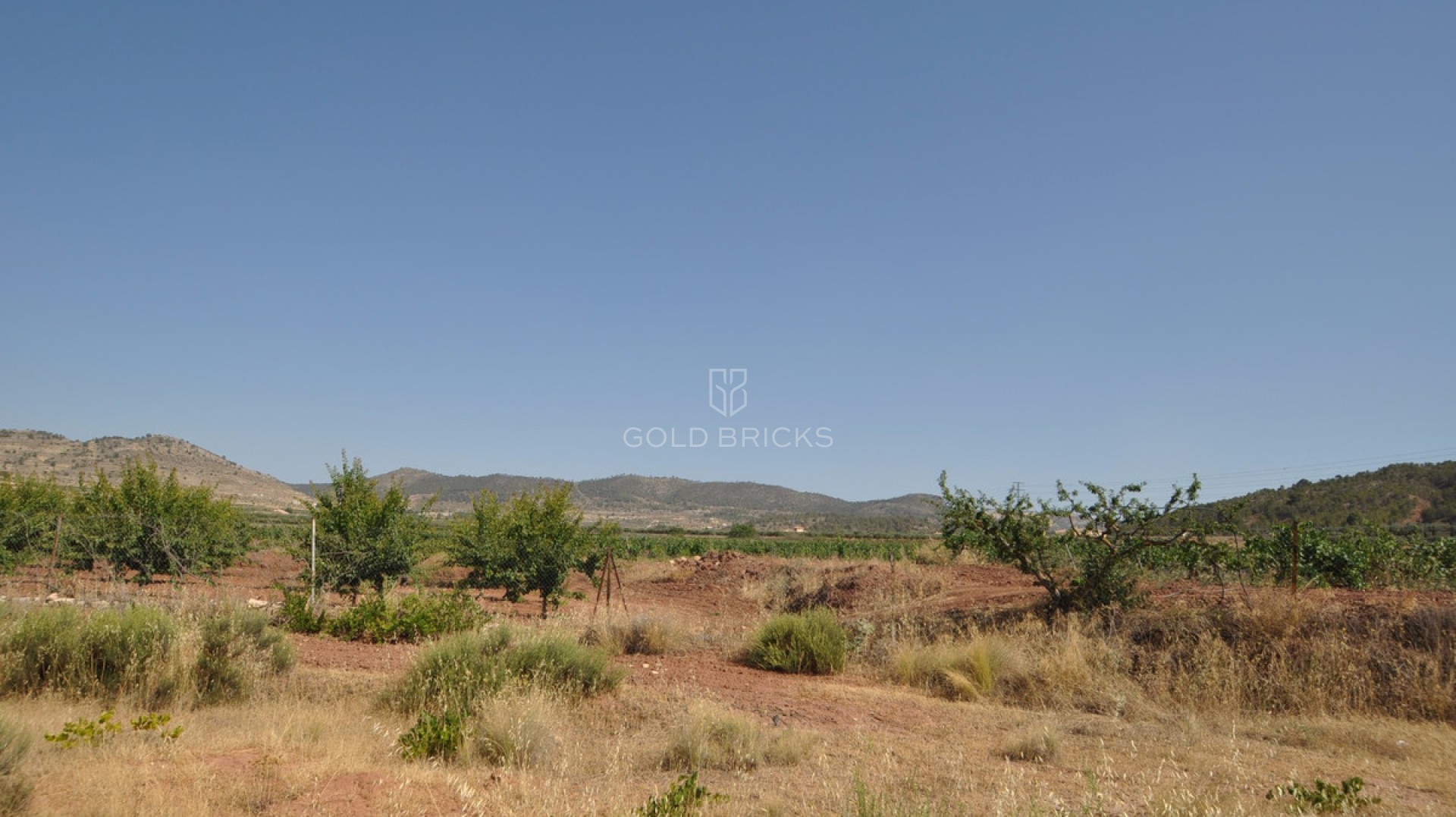 Plot - Land · Sale · Pinoso · Pinoso Centro