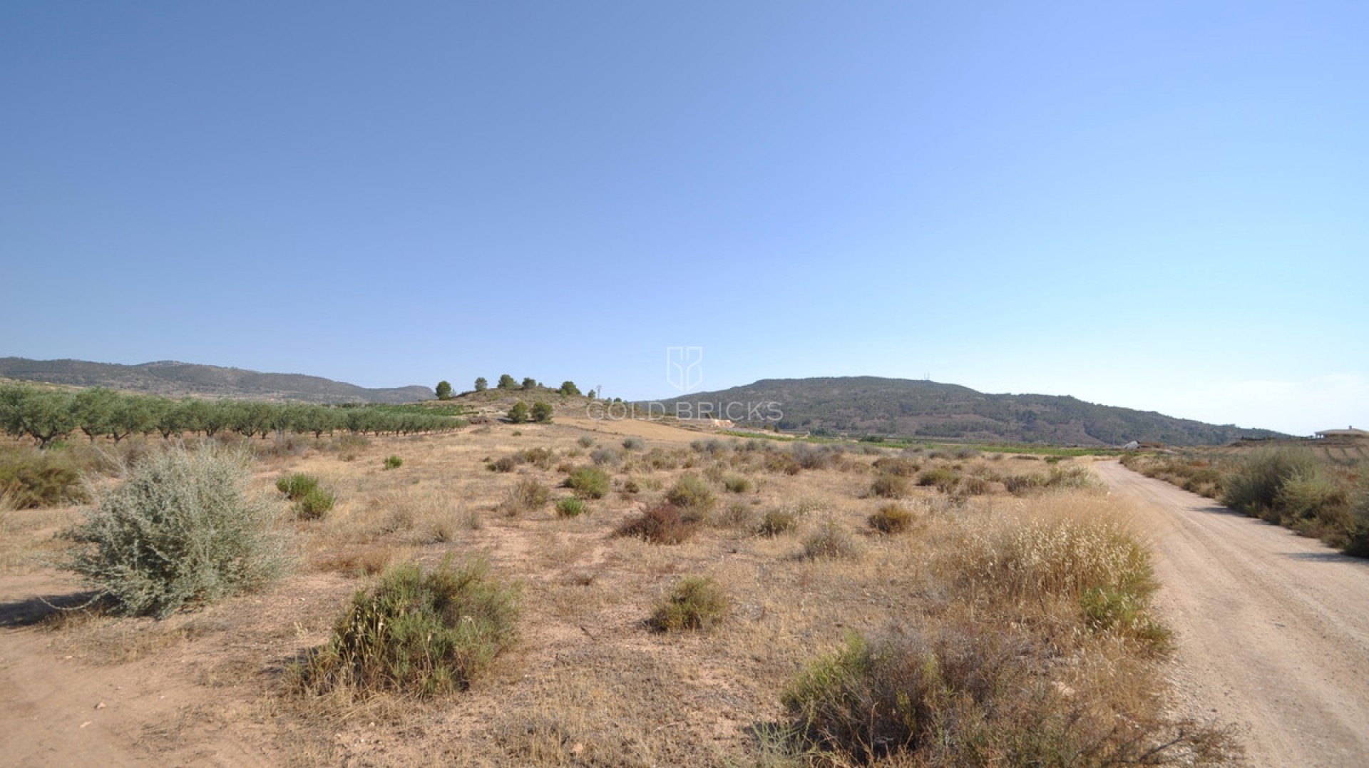 Plot - Land · Sale · Pinoso · Pinoso Centro