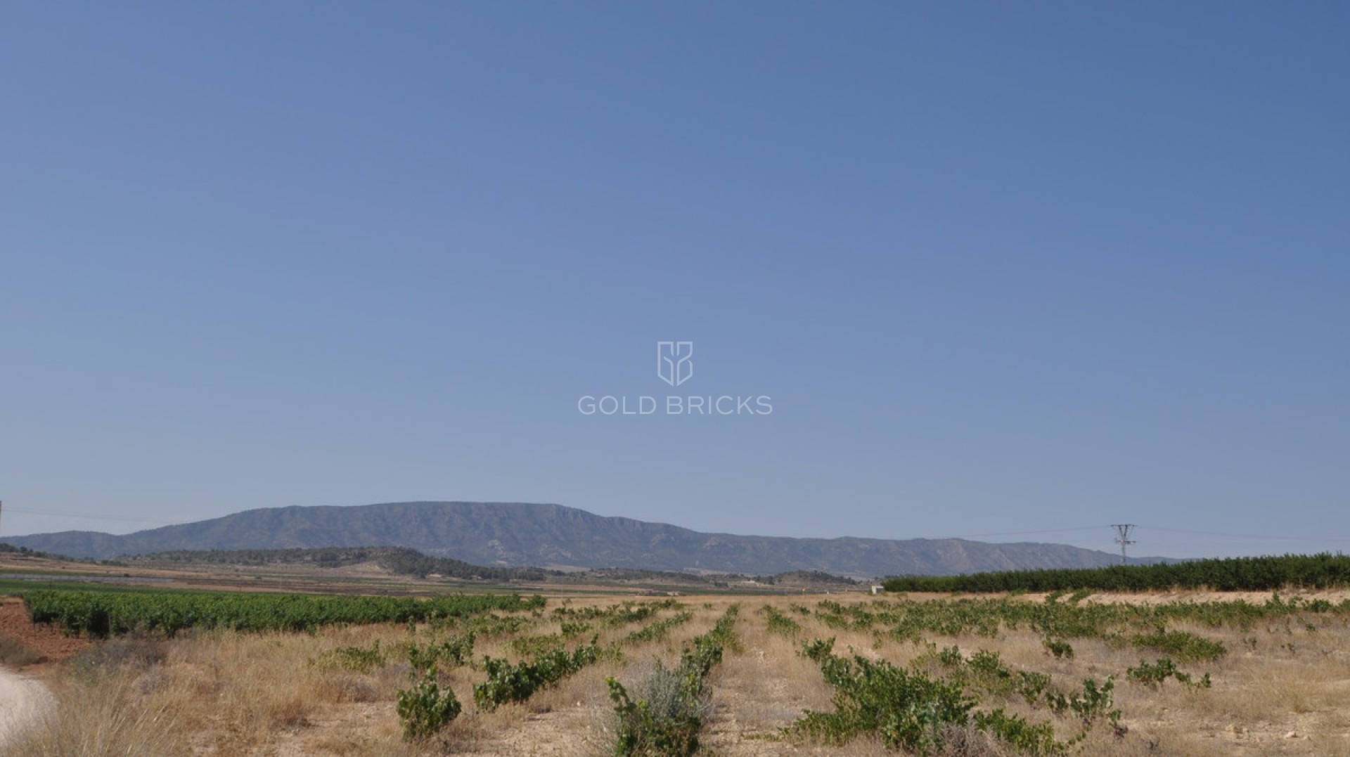 Plot - Land · Sale · Pinoso · Pinoso Centro