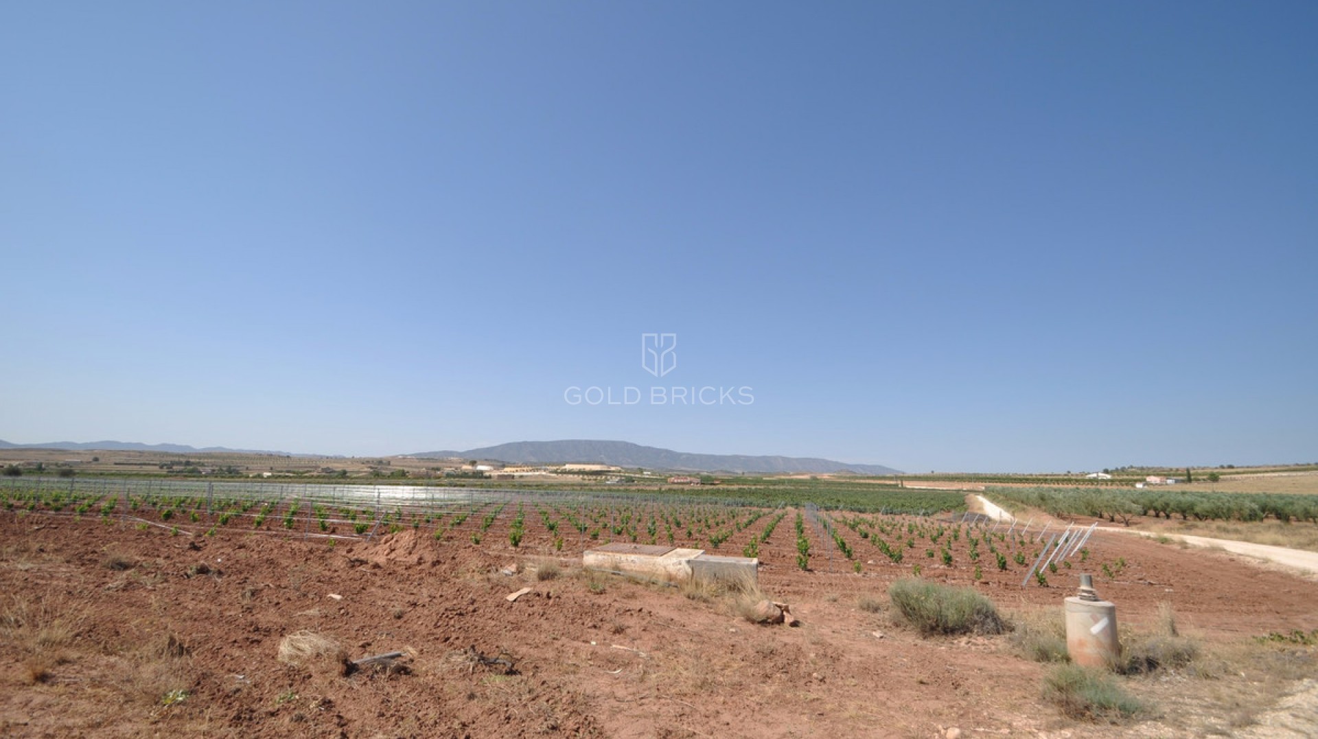 Plot - Land · Sale · Pinoso · Pinoso Centro