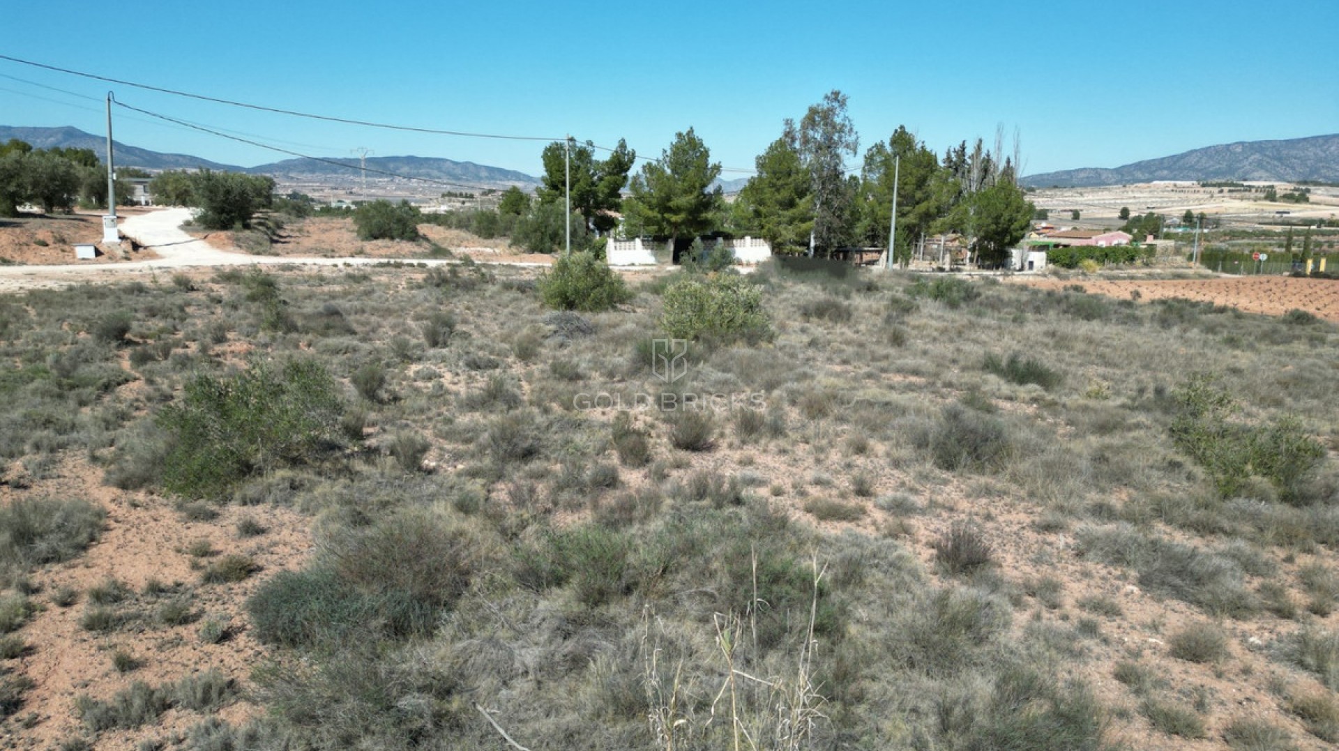 Plot - Land · Sale · Pinoso · Pinoso Centro