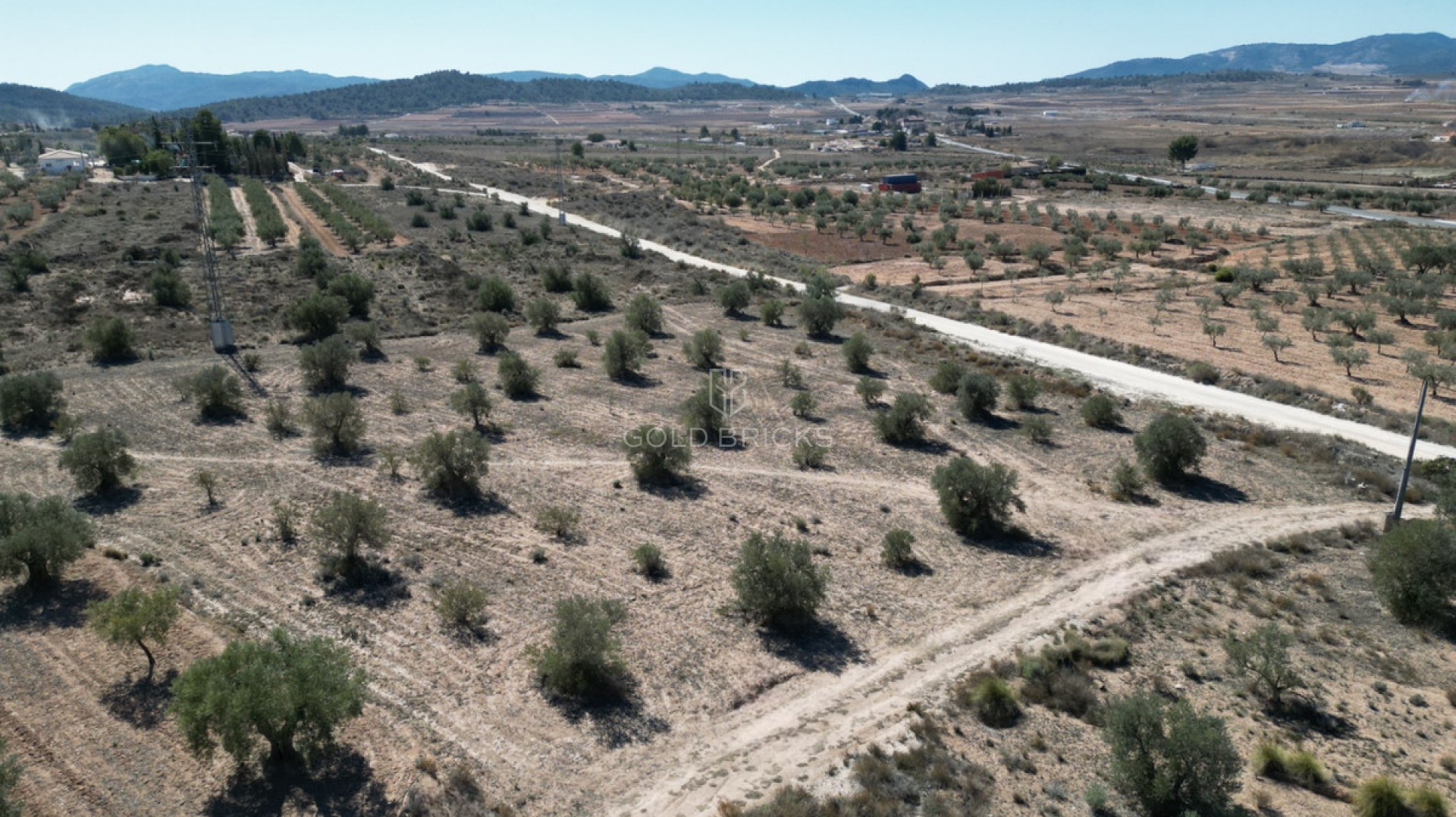 Plot - Land · Sale · Pinoso · Pinoso Centro