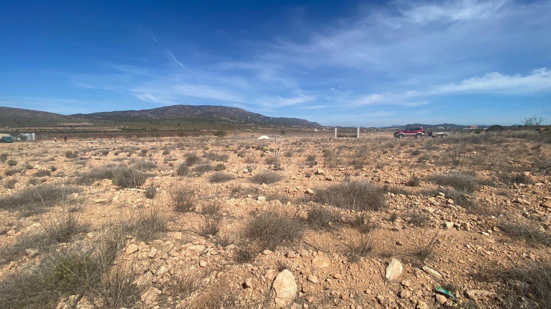 Plot - Land · Sale · Pinoso · Pinoso Centro