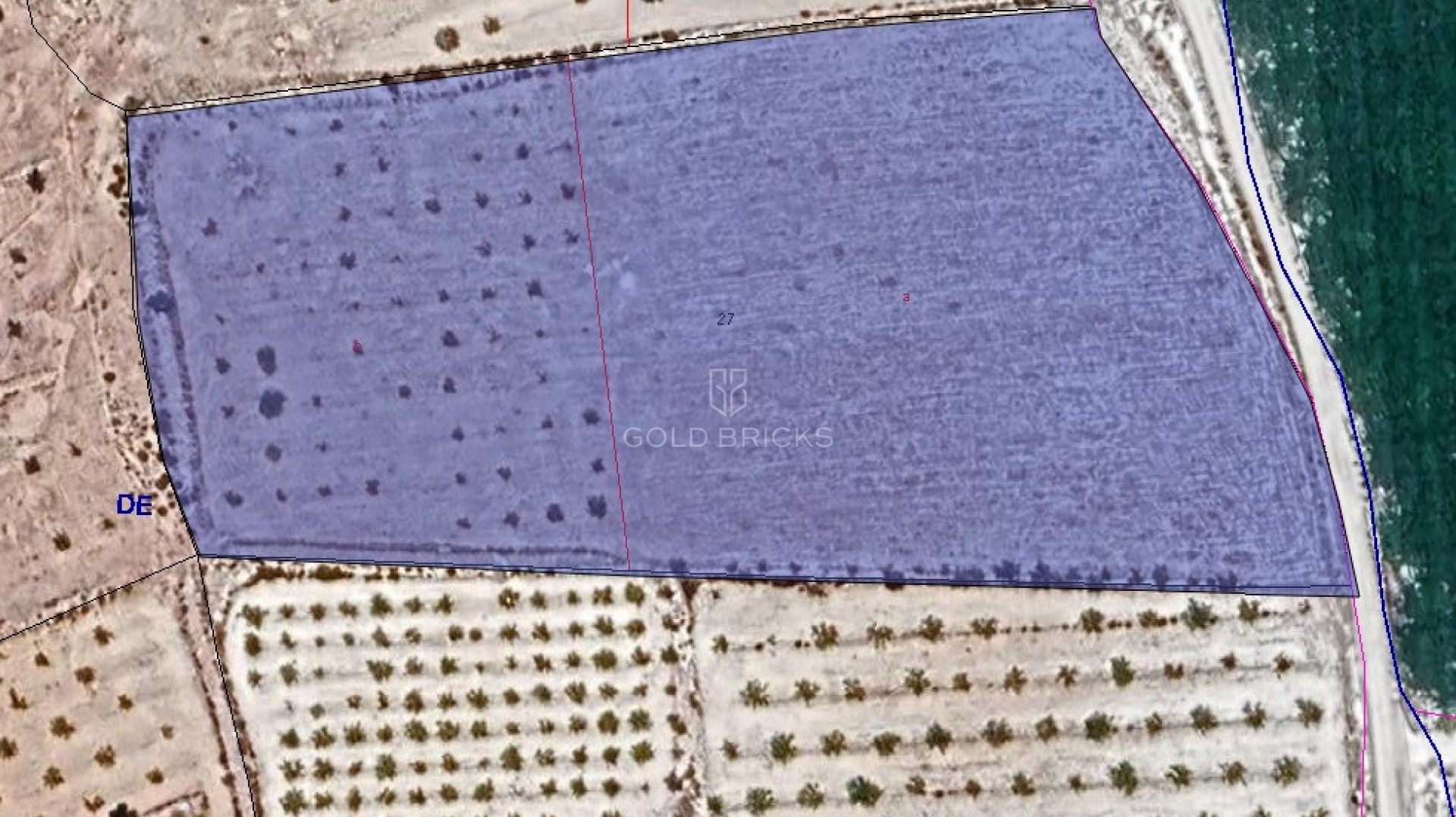 Plot - Land · Sale · Pinoso · Pinoso Centro