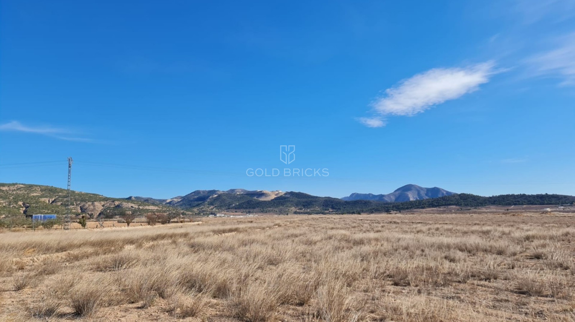 Plot - Land · Sale · Pinoso · Pinoso Centro