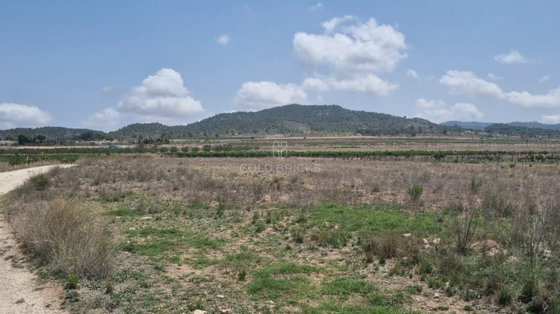 Plot - Land · Sale · Pinoso · Pinoso Centro