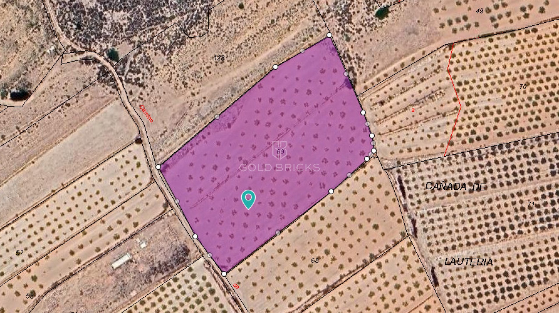 Plot - Land · Sale · Pinoso · Pinoso Centro