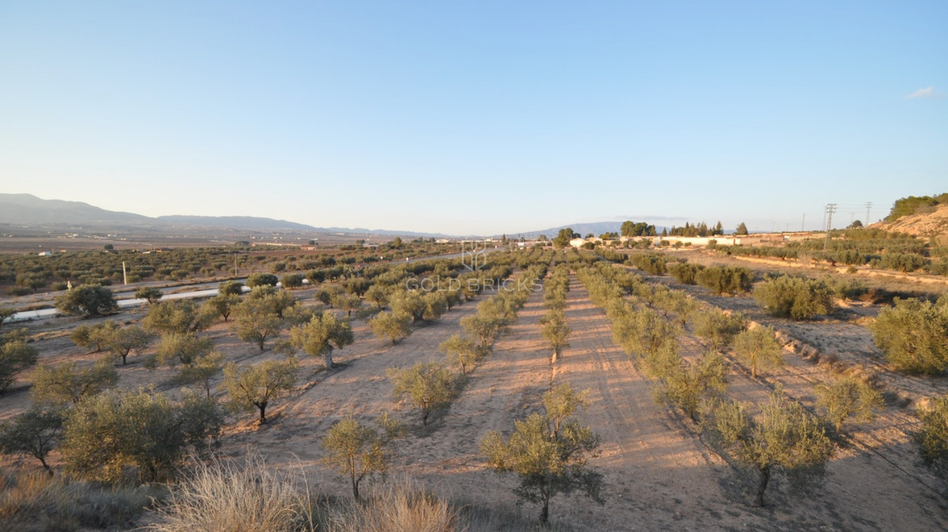 Plot - Land · Sale · Pinoso · Pinoso Centro