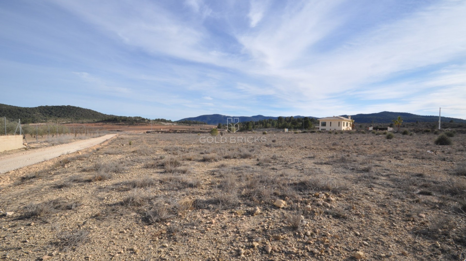 Plot - Land · Sale · Pinoso · Pinoso Centro