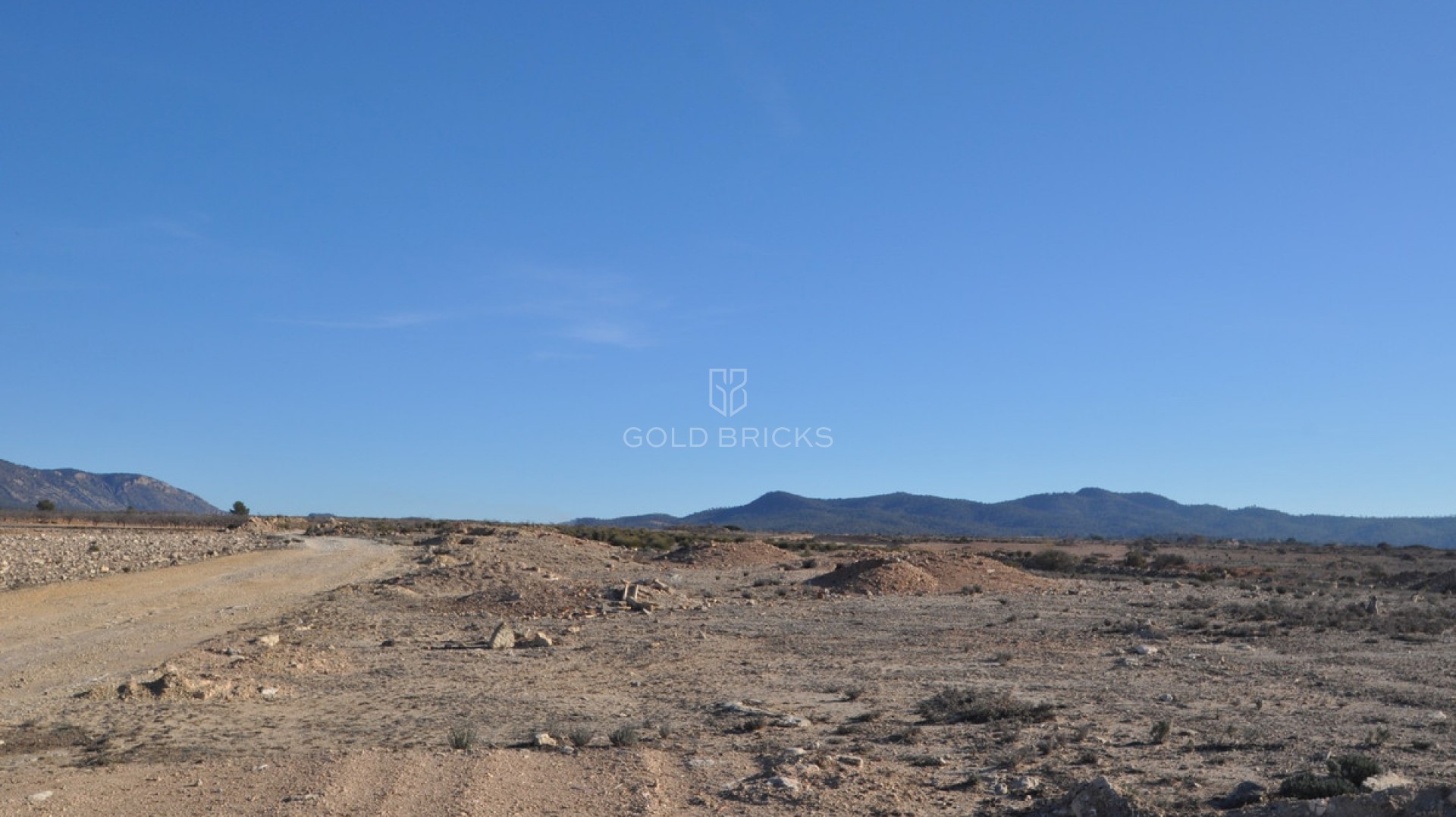 Plot - Land · Sale · Pinoso · Pinoso Centro