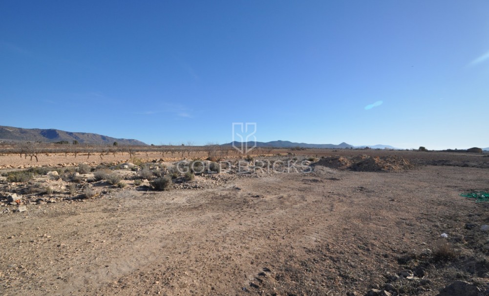 Plot - Land · Sale · Pinoso · Pinoso Centro