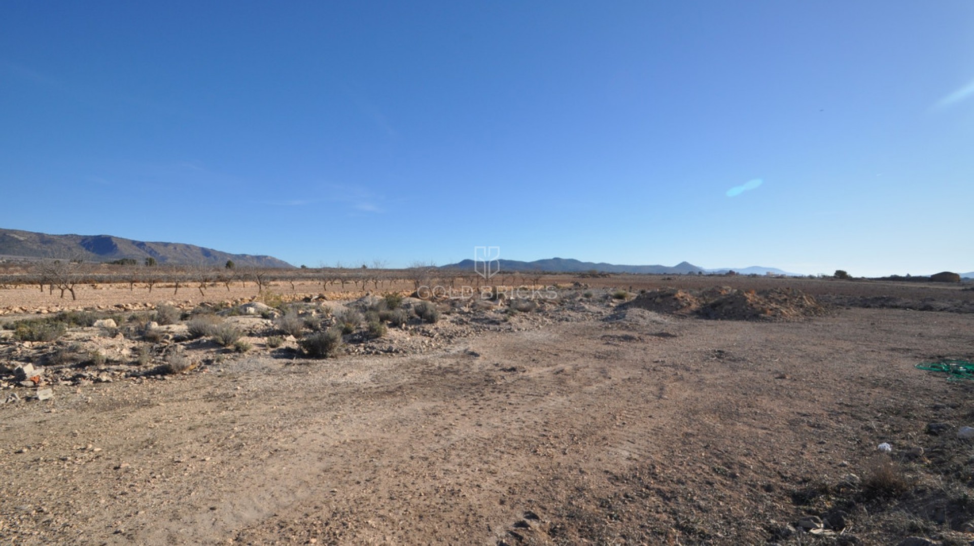 Plot - Land · Sale · Pinoso · Pinoso Centro