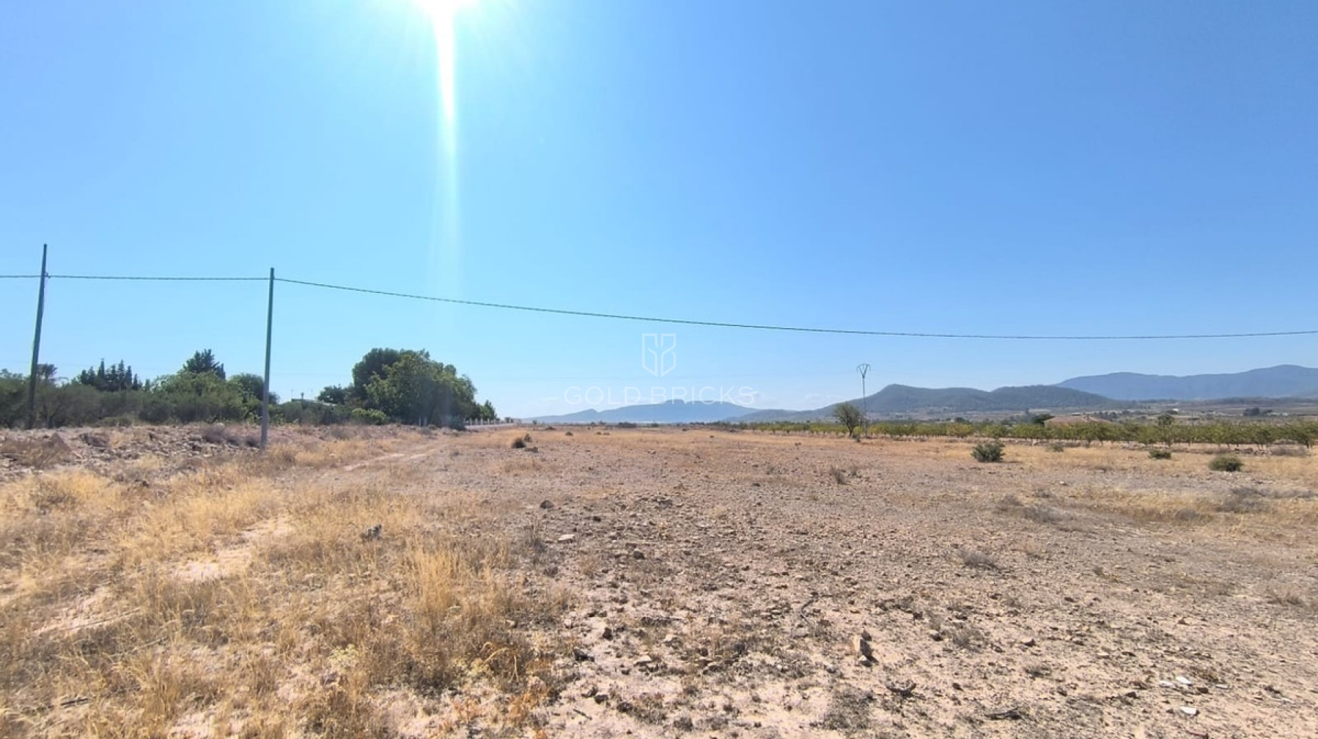 Plot - Land · Sale · Pinoso · Pinoso Centro