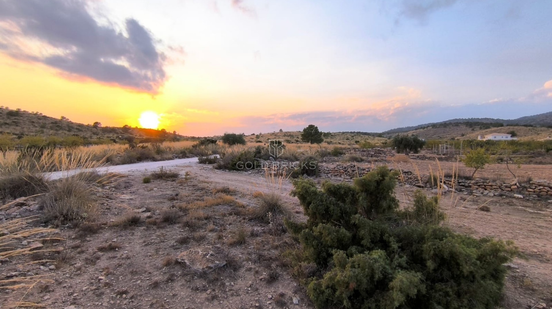 Plot - Land · Sale · Pinoso · Pinoso Centro