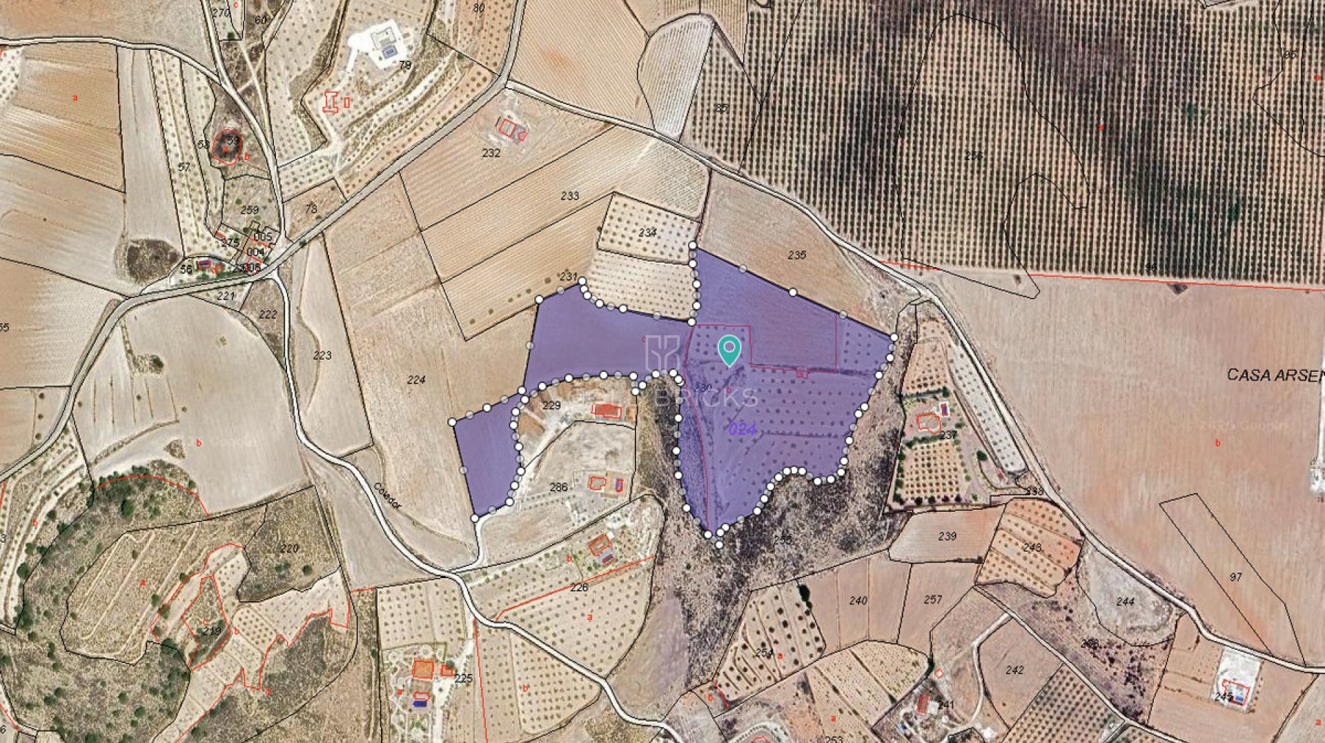 Plot - Land · Sale · Pinoso · Pinoso Centro