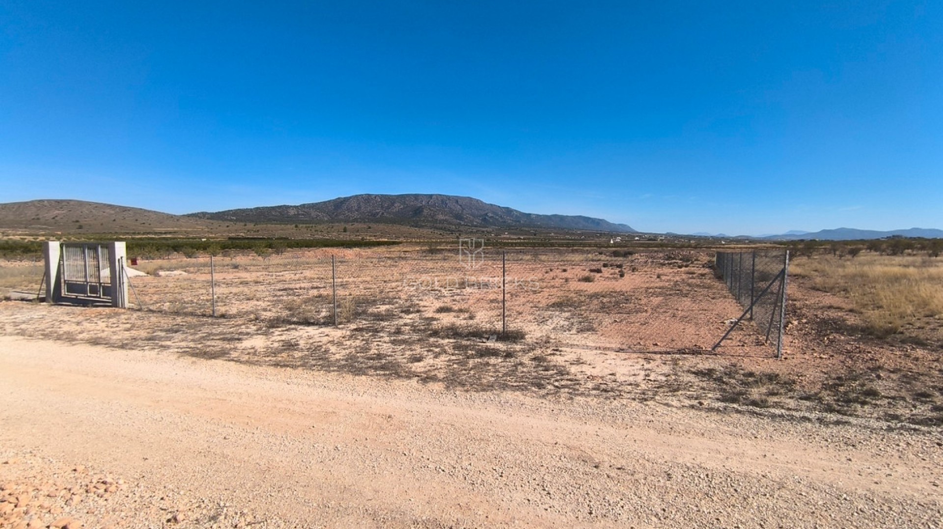 Plot - Land · Sale · Pinoso · Pinoso Centro