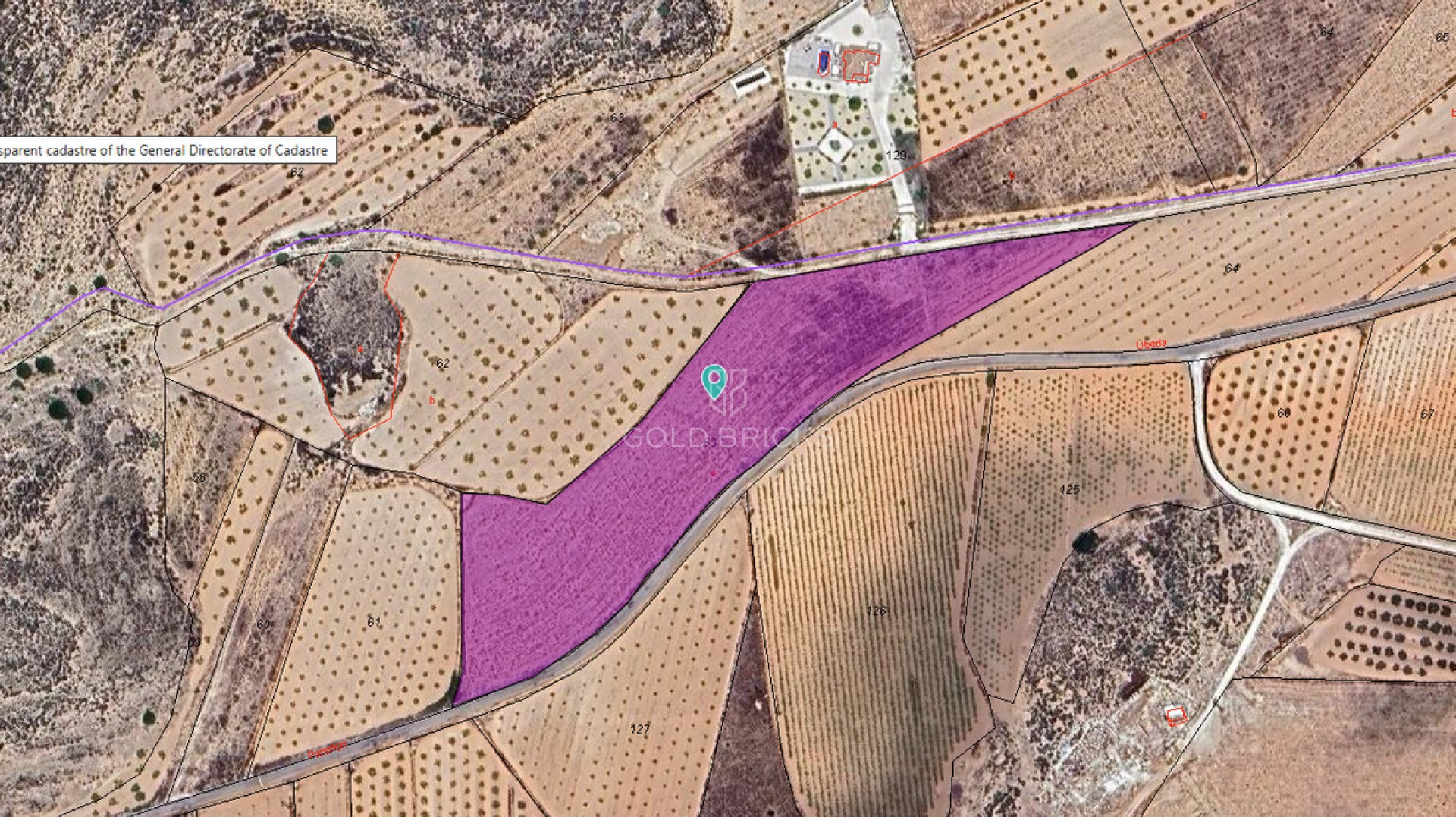 Plot - Land · Sale · Pinoso · Pinoso Centro