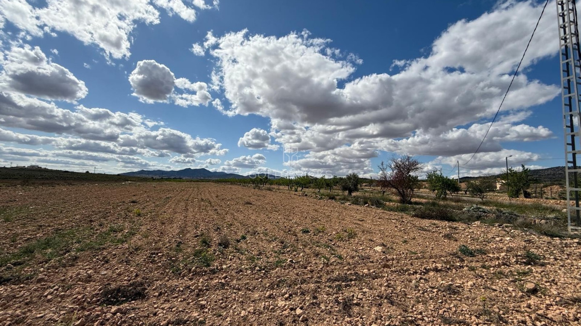 Plot - Land · Sale · Pinoso · Pinoso Centro