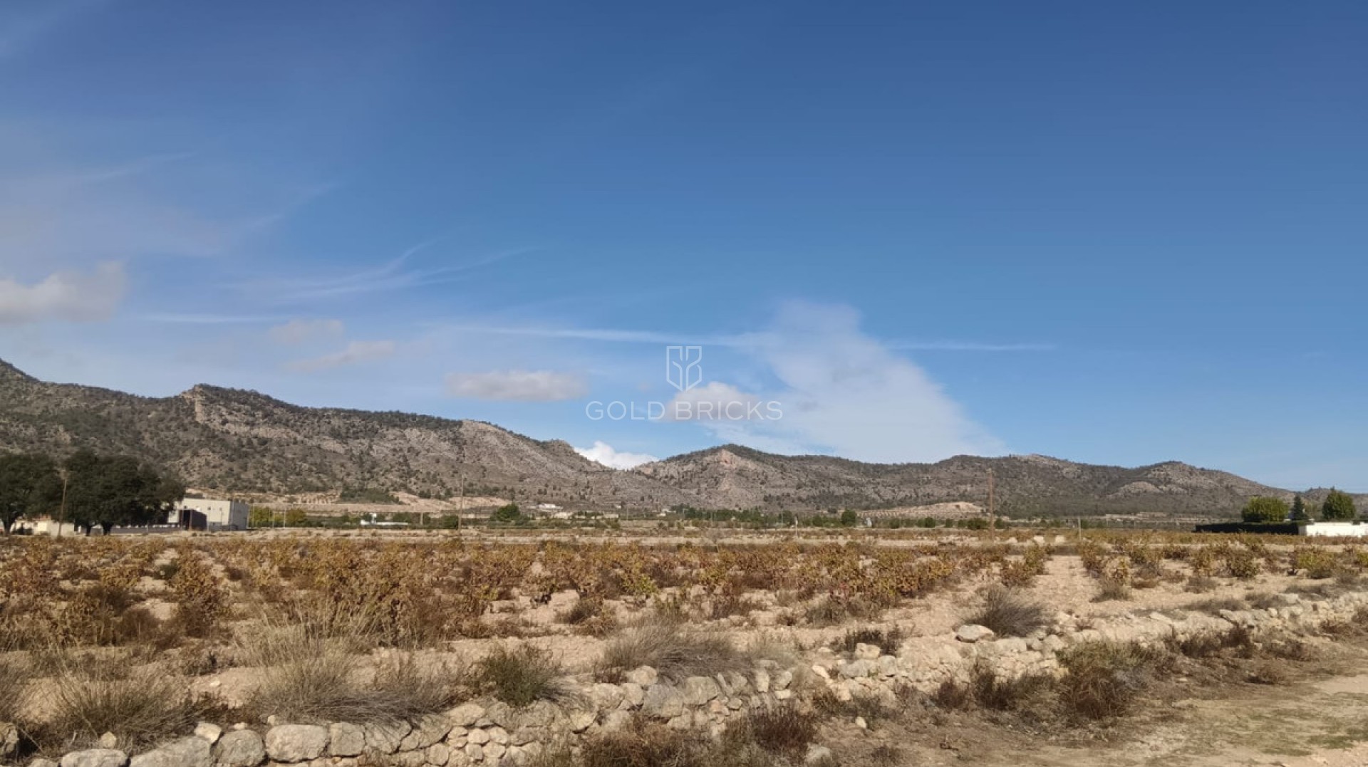 Plot - Land · Sale · Salinas · Salinas Centro