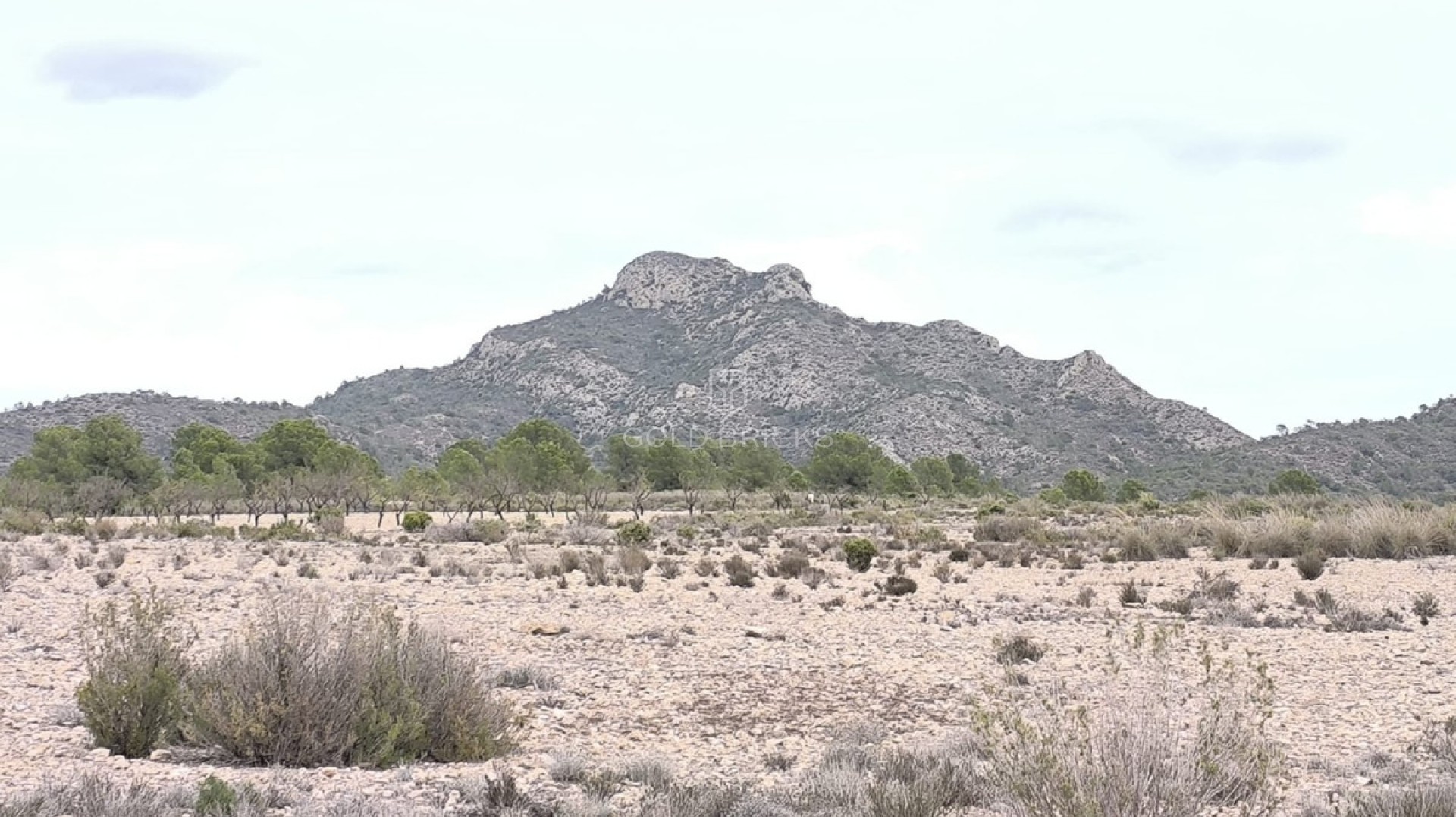 Plot - Land · Sale · Salinas · Salinas Centro