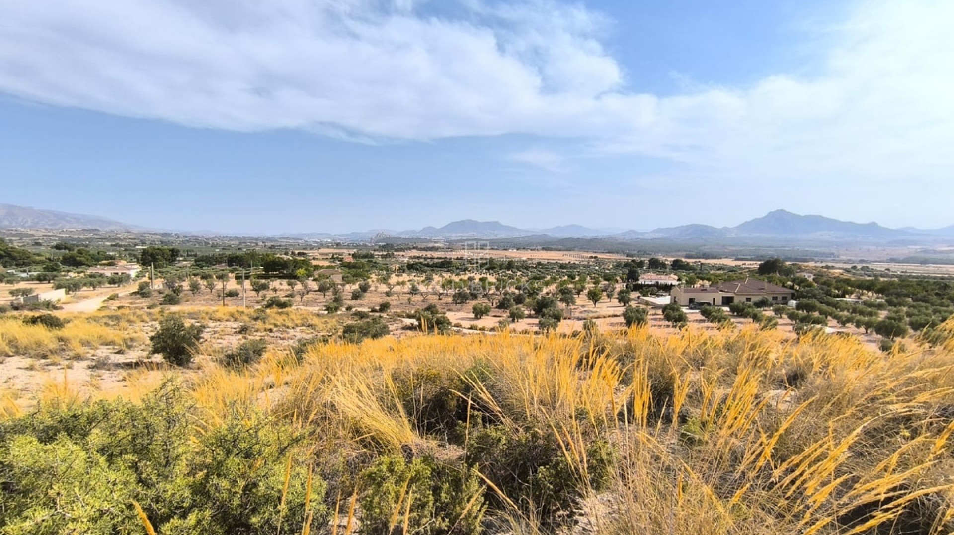 Plot - Land · Sale · Sax · Sax Centro