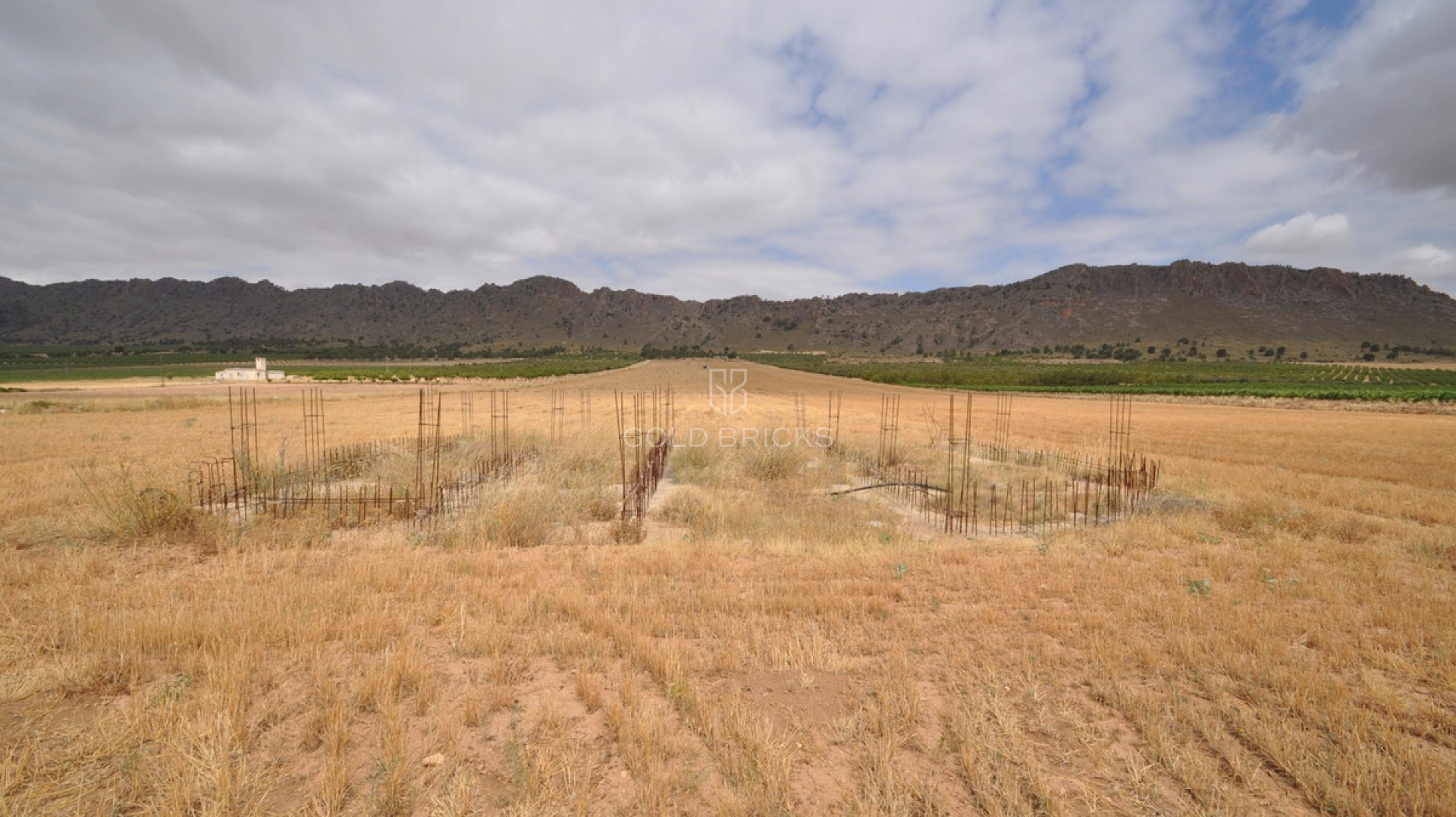 Plot - Land · Sale · Yecla · Yecla Centro