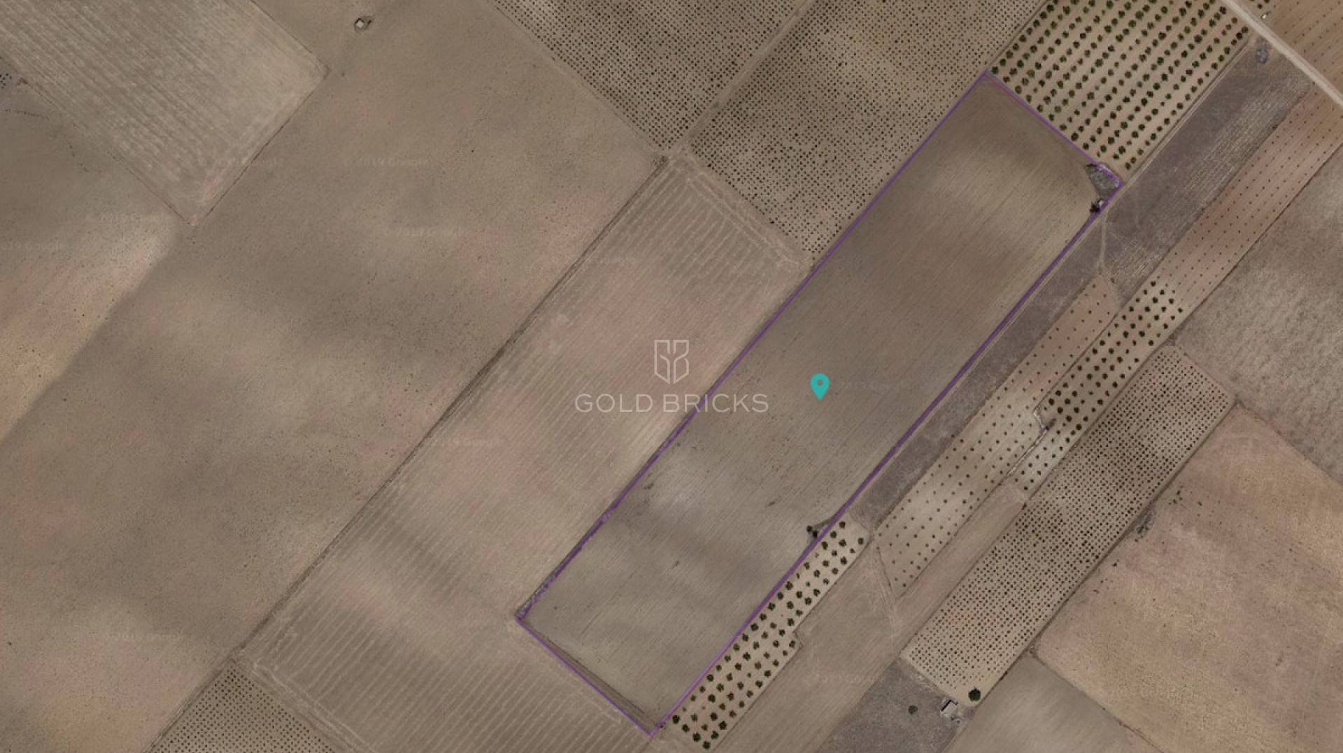 Plot - Land · Sale · Yecla · Yecla Centro