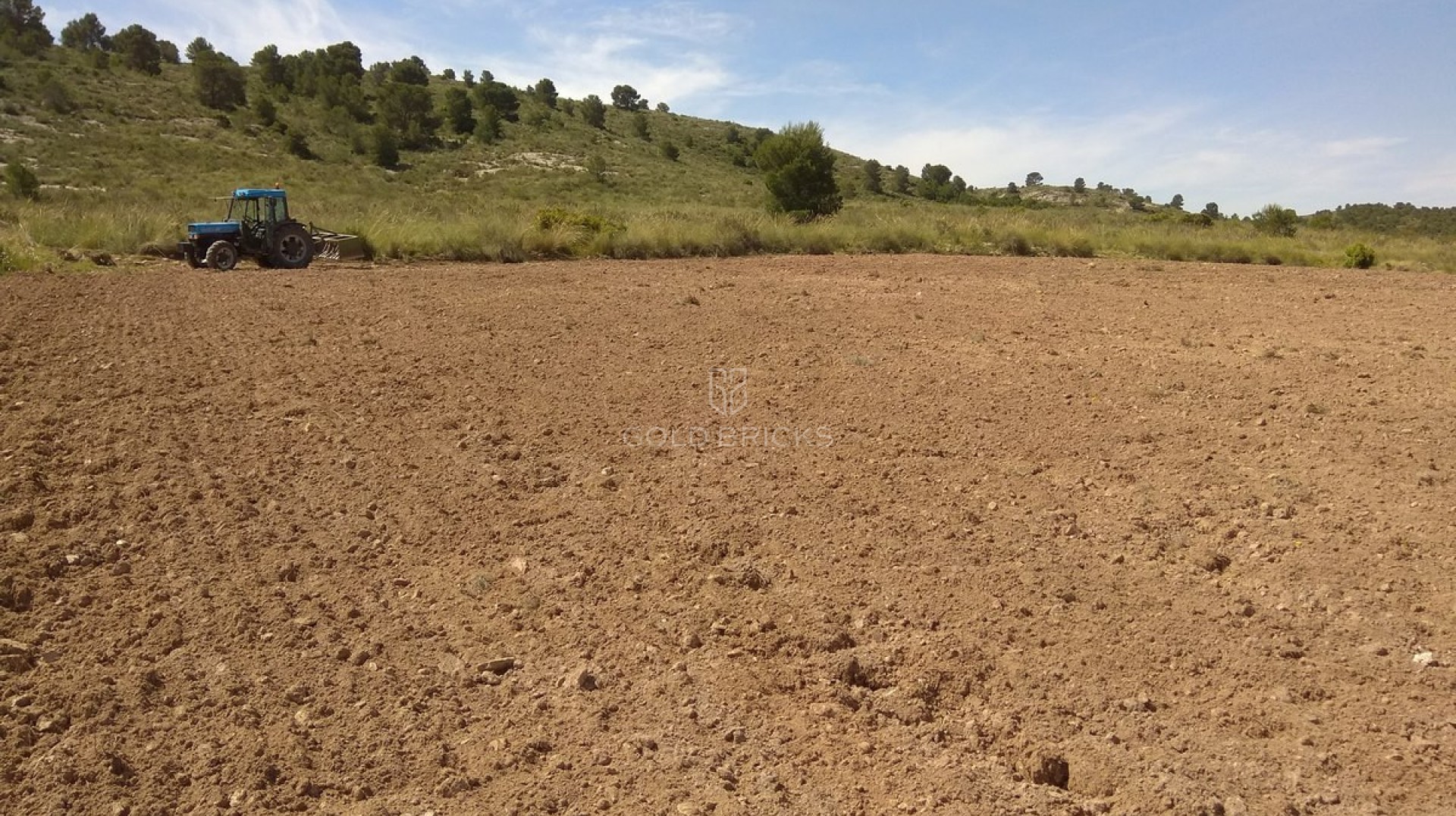 Plot - Land · Sale · Yecla · Yecla Centro