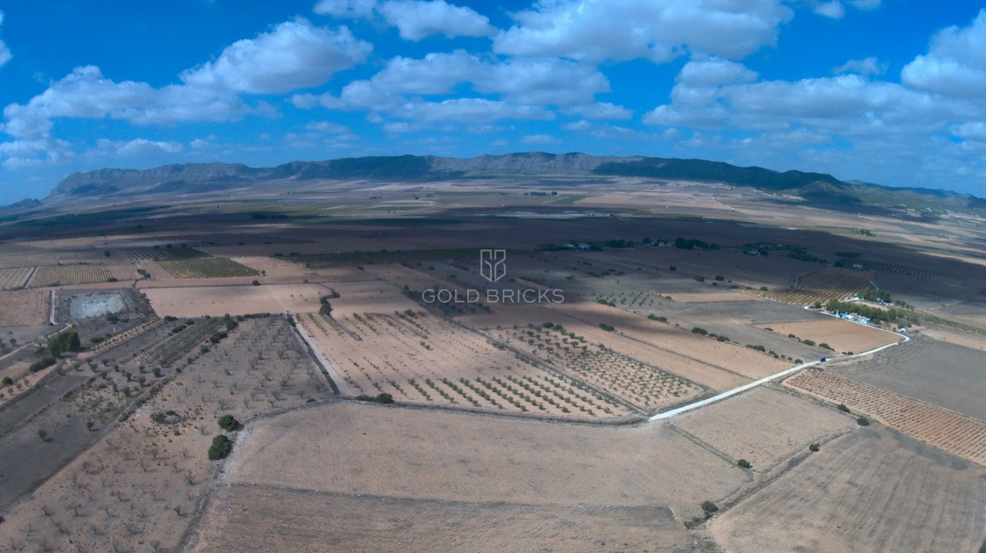 Plot - Land · Sale · Yecla · Yecla Centro