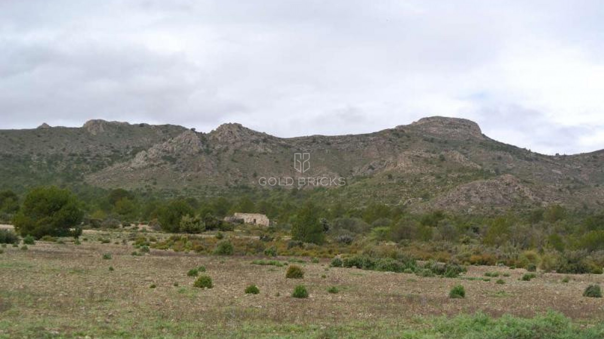 Plot - Land · Sale · Yecla · Yecla Centro