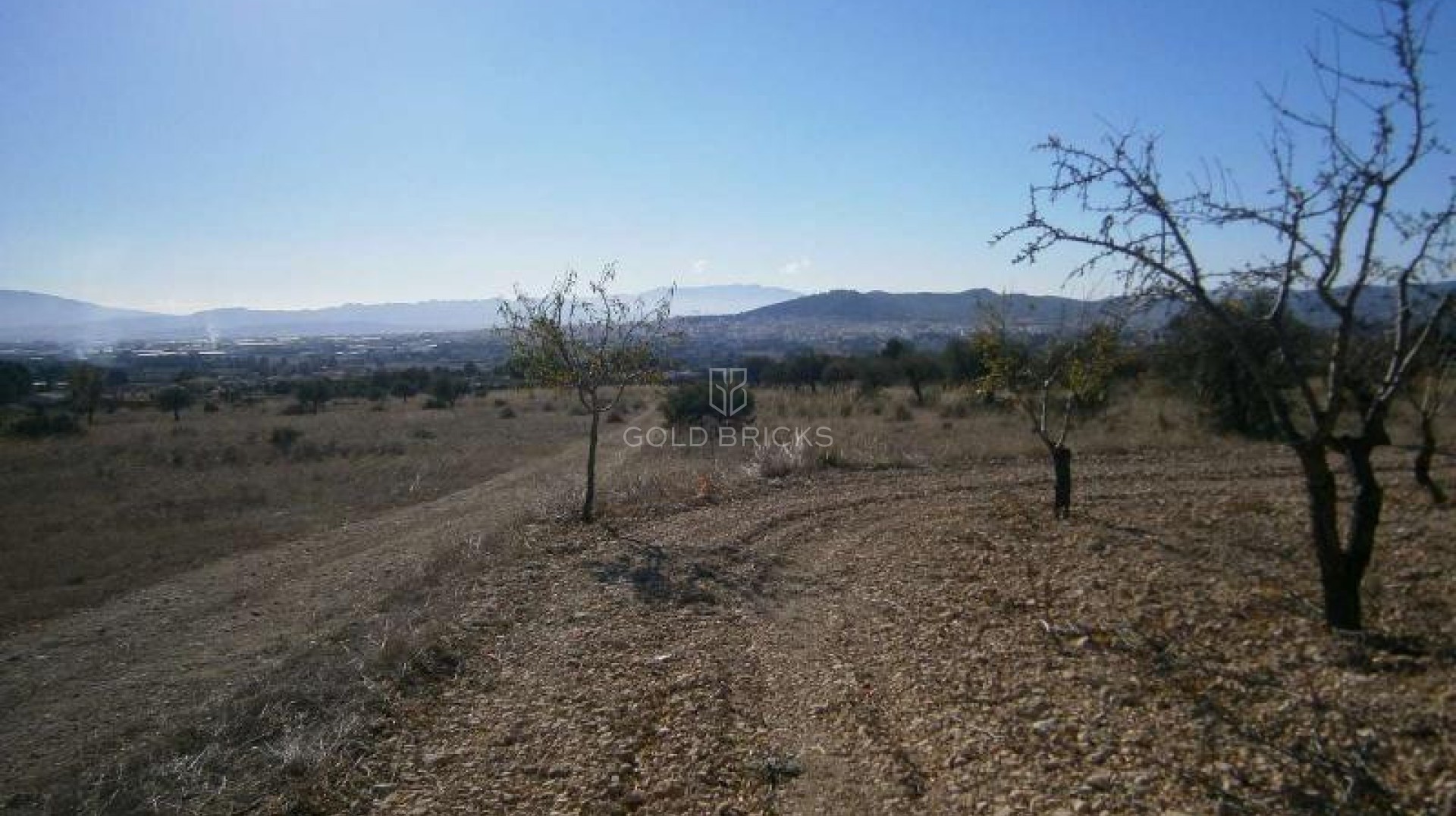 Plot - Land · Sale · Yecla · Yecla Centro