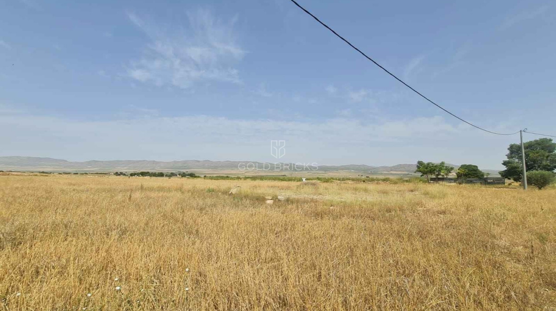 Plot - Land · Sale · Yecla · Yecla Centro